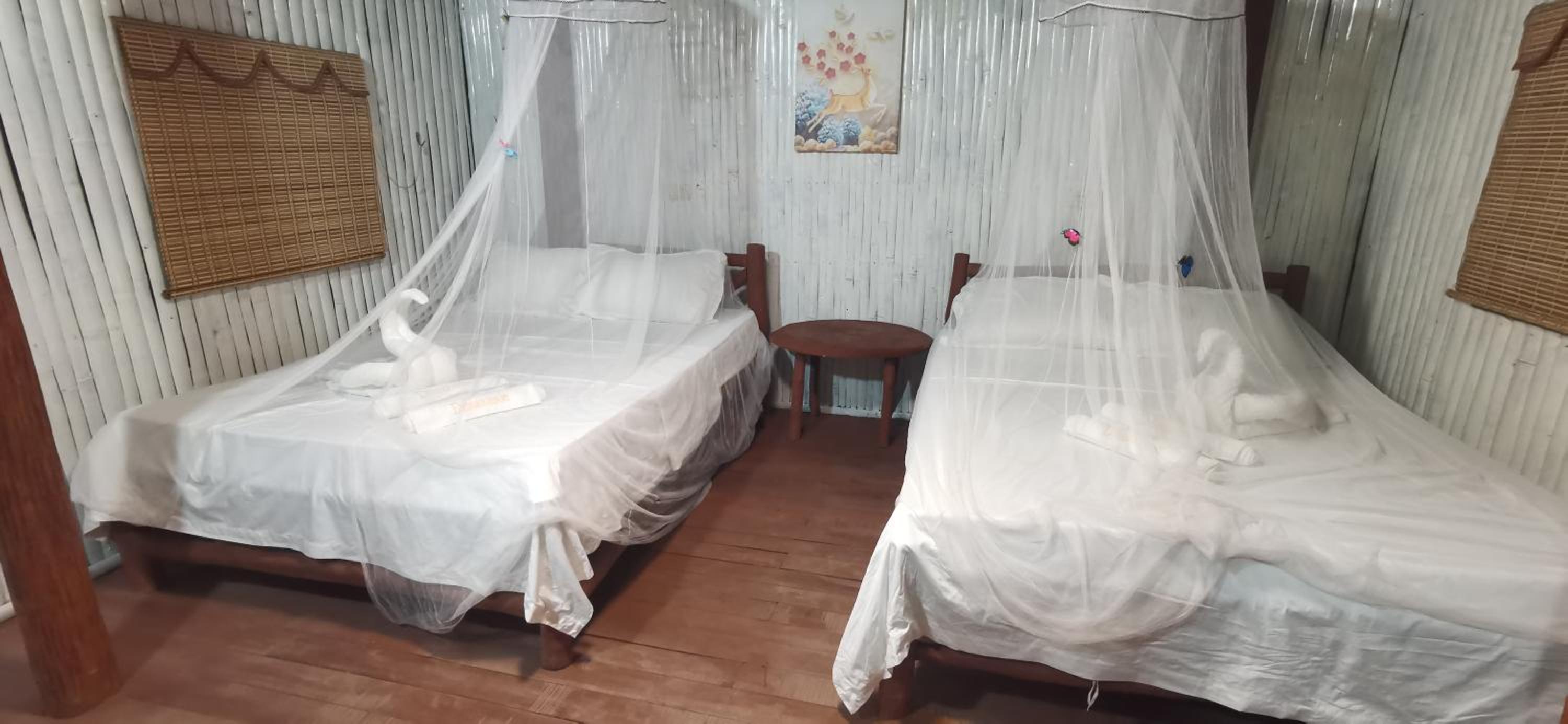 King Room with Two King Beds