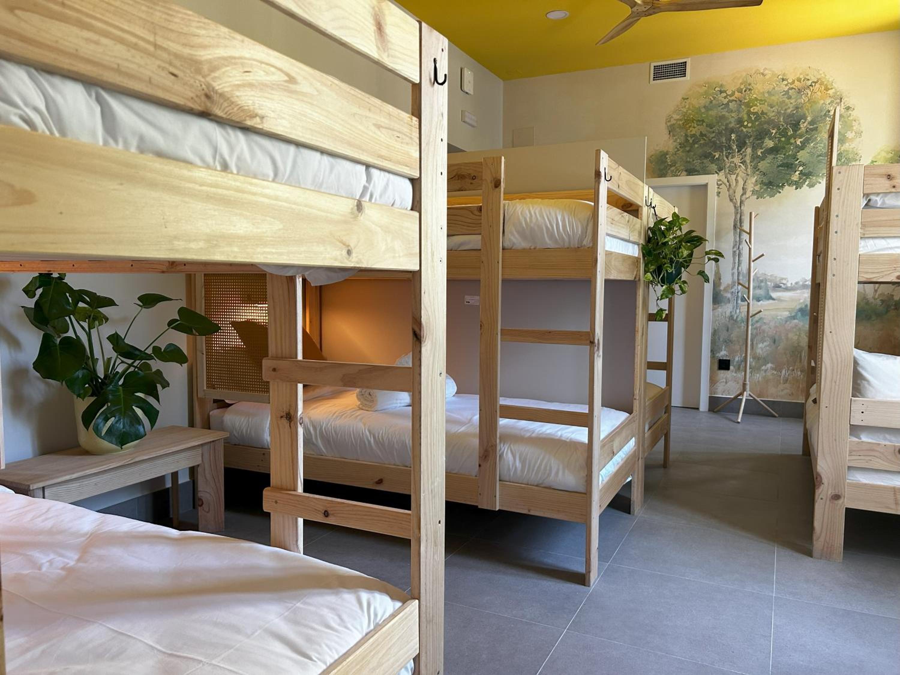 Bed in 8-Bed Dormitory Room photo 2