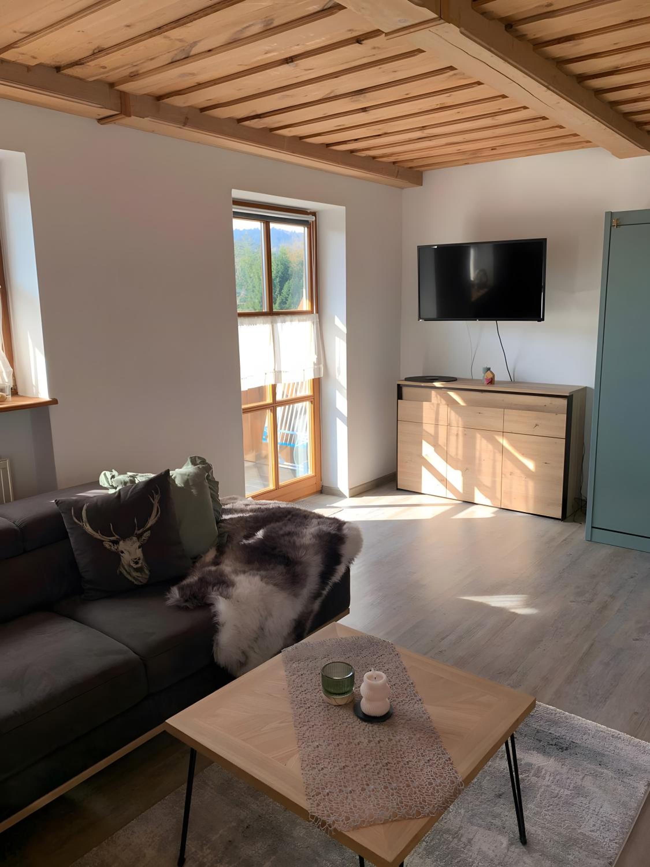 Superior One-Bedroom Apartment with Balcony photo 1