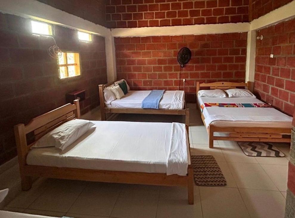 Mixed Dormitory Room photo 1