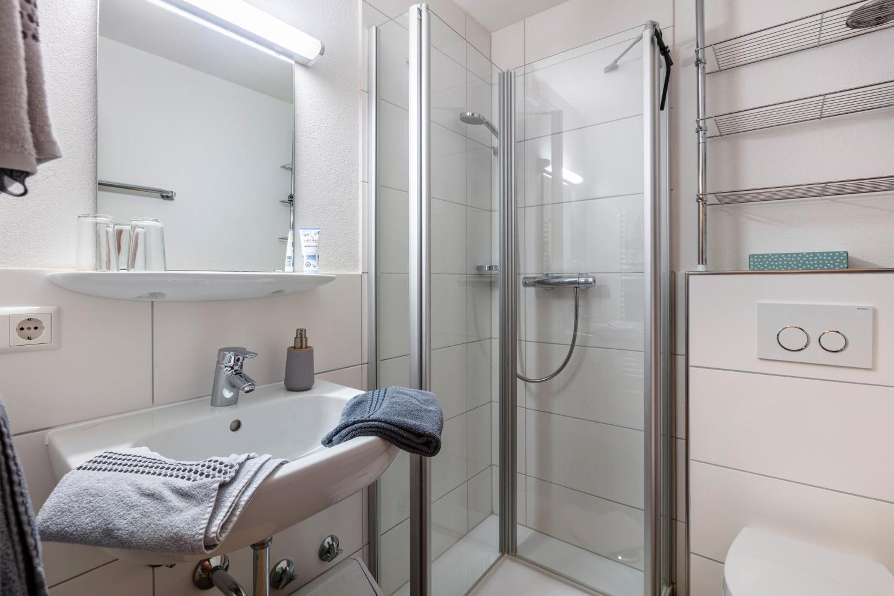 Superior One-Bedroom Apartment with Balcony photo 3