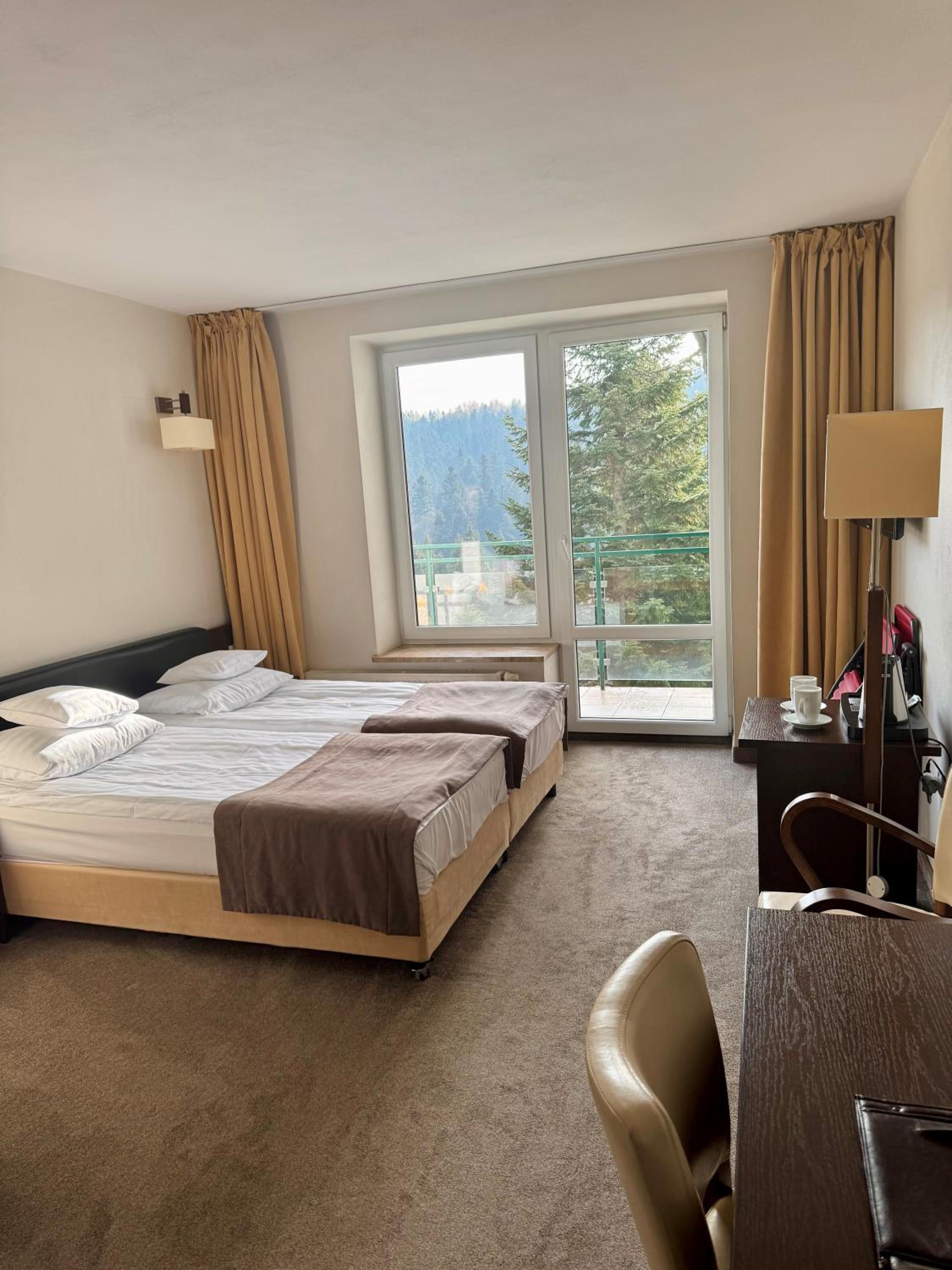 Deluxe Double or Twin Room with Balcony photo 1