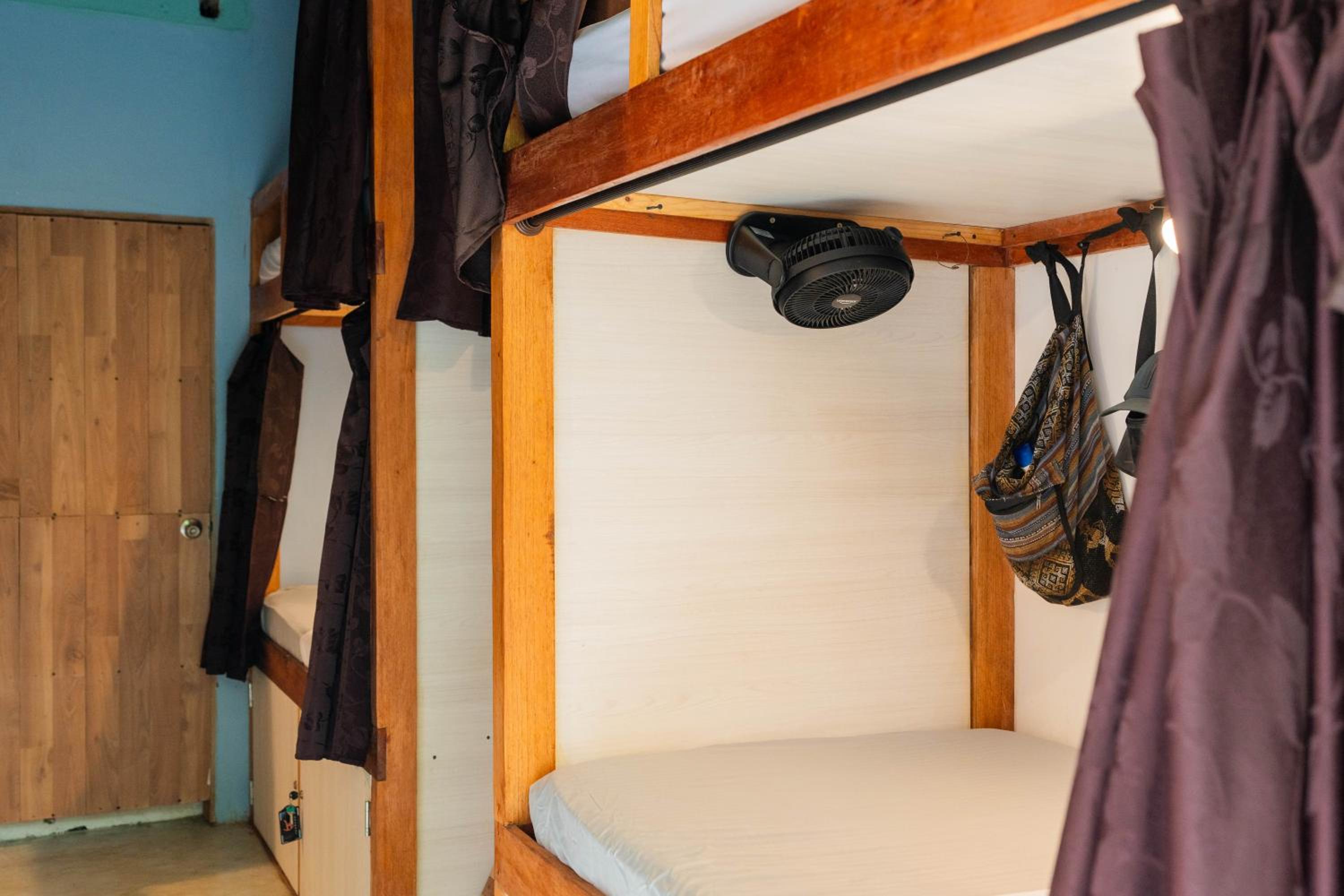 Bunk Bed In Mixed Dormitory Room photo 3