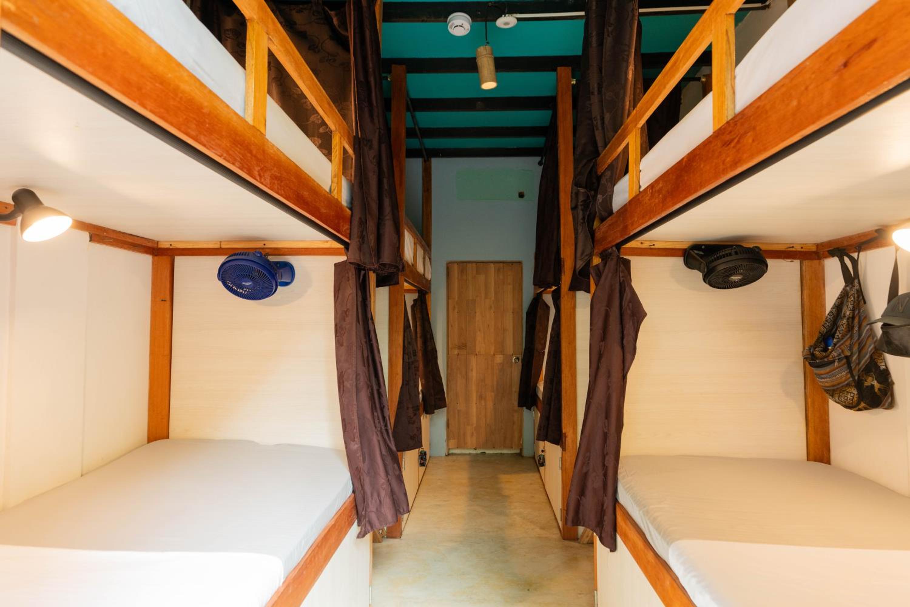 Bunk Bed In Mixed Dormitory Room photo 1