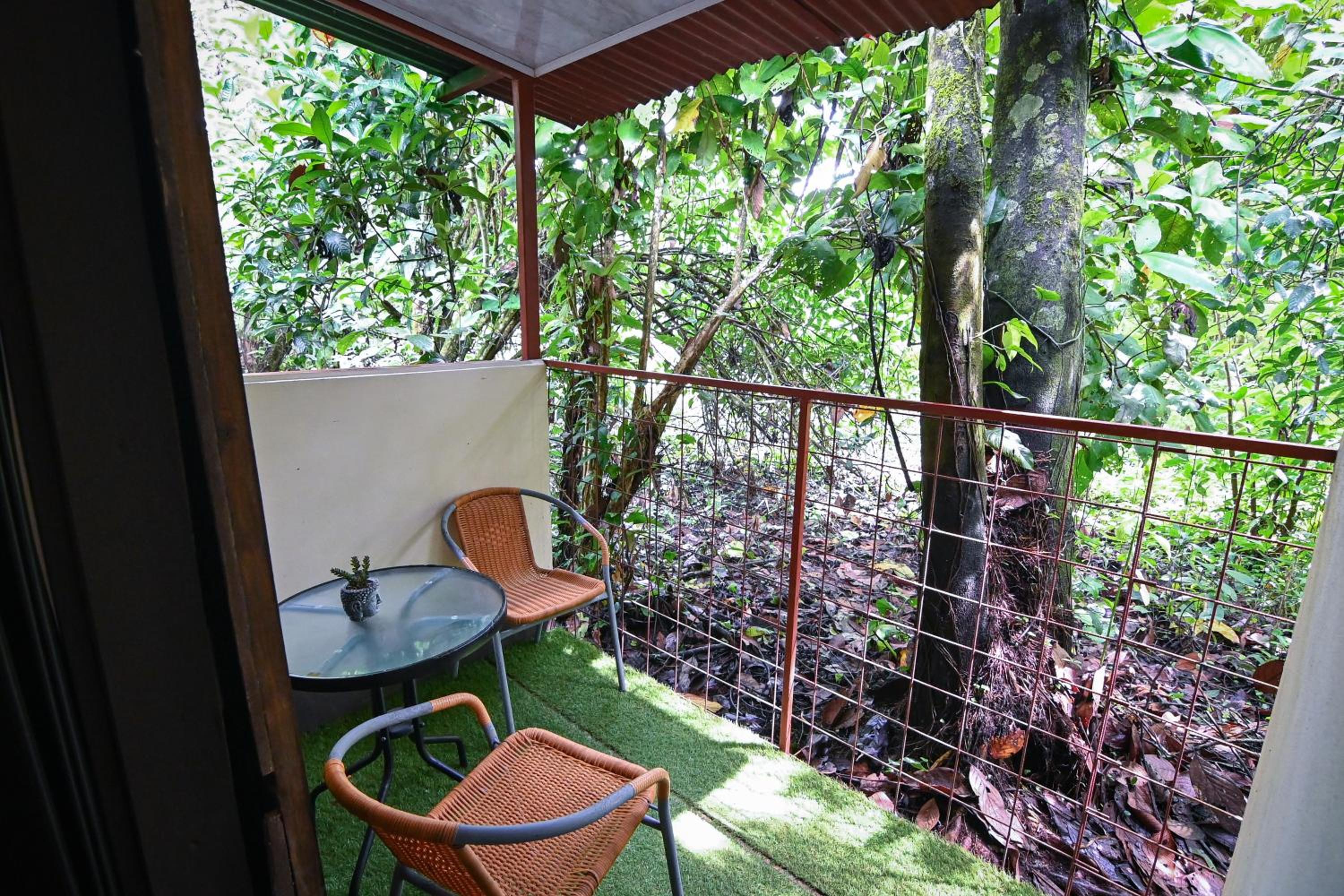Double Room with Patio photo 3