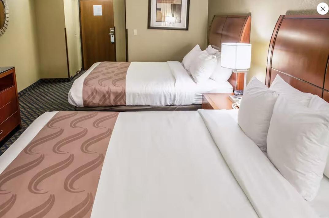 Queen Suite with Two Queen Beds and Sofa Bed - Non Smoking - Photo 2