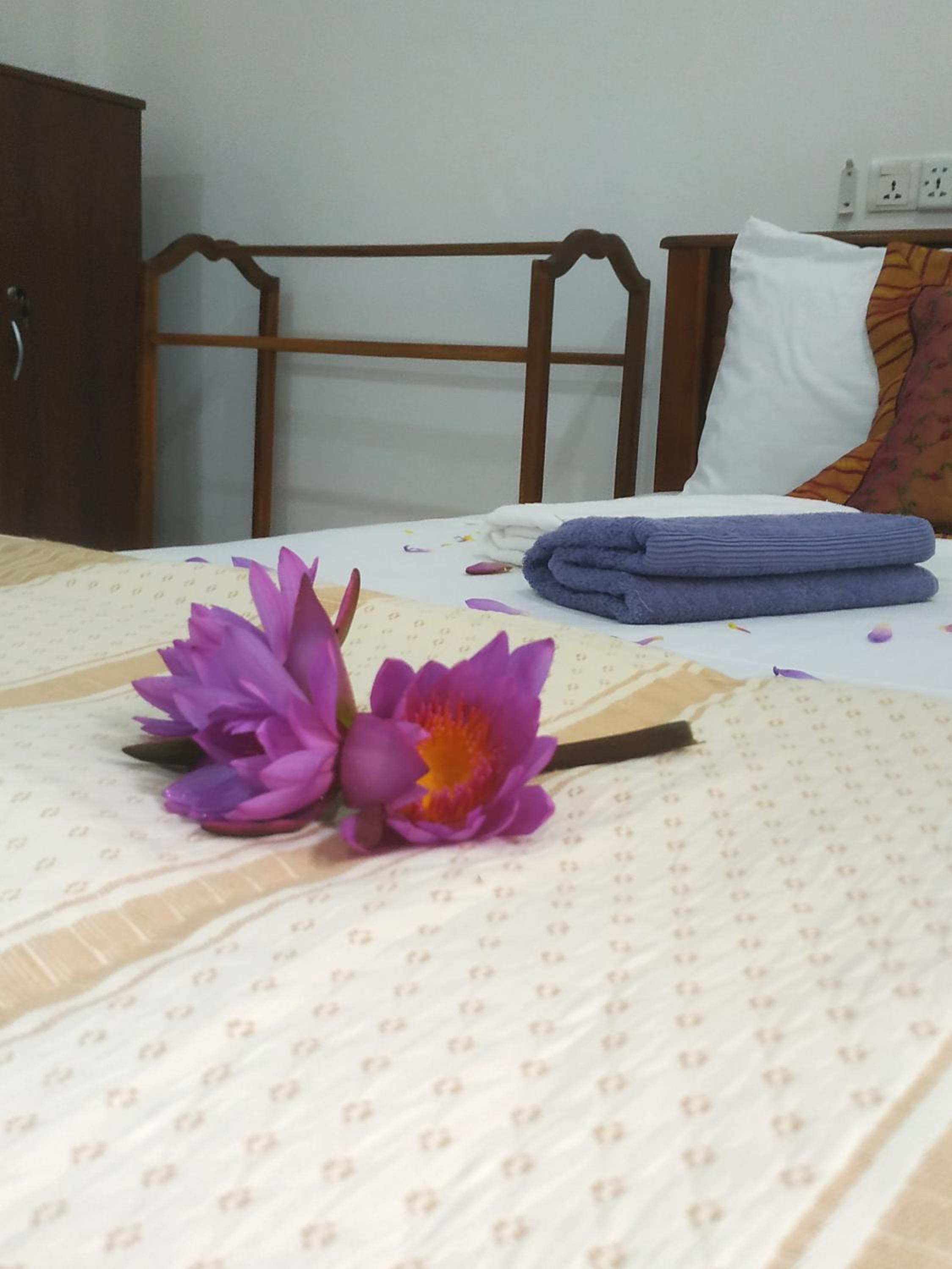 Superior King Room photo 3