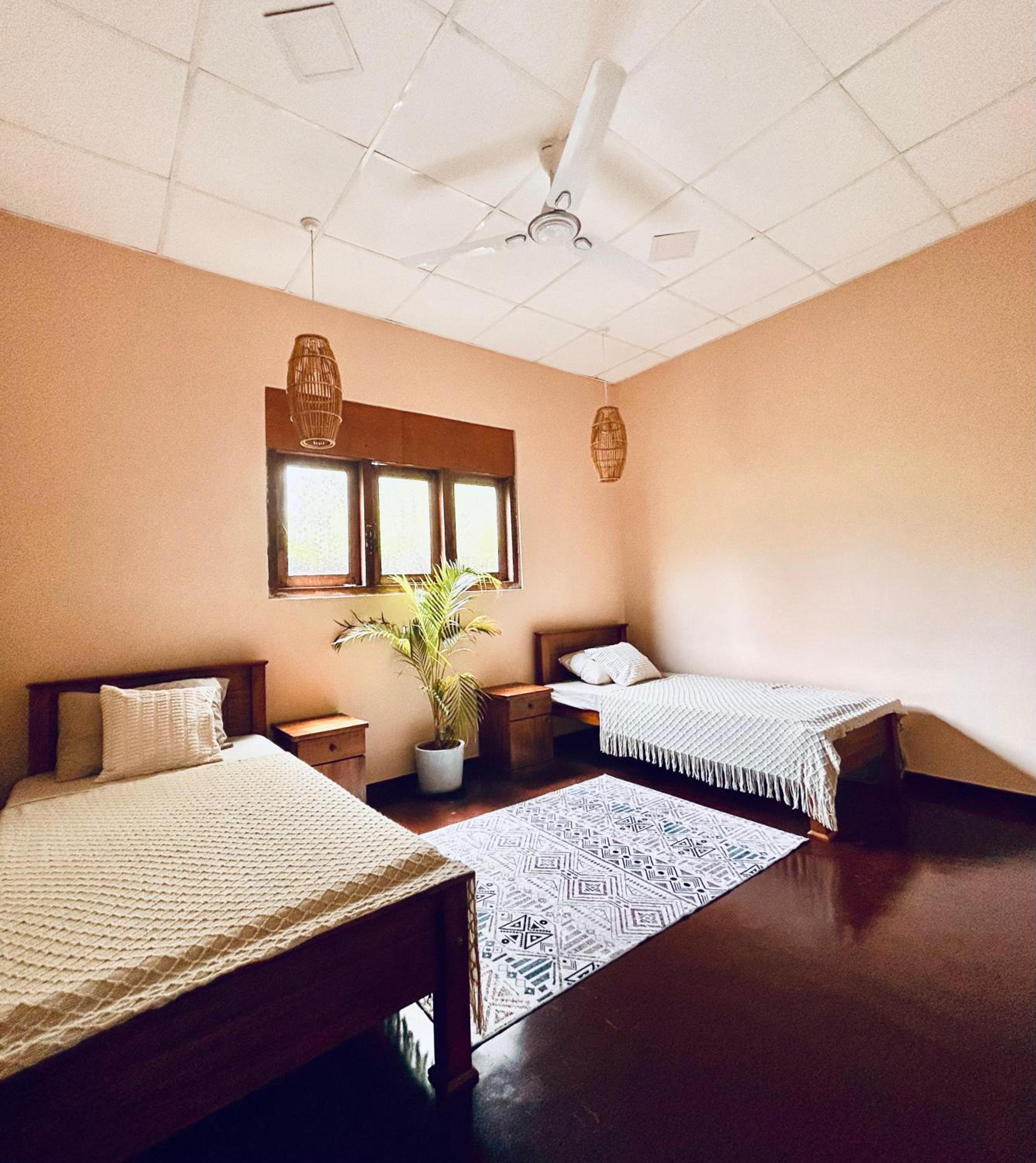 Twin Room photo 1