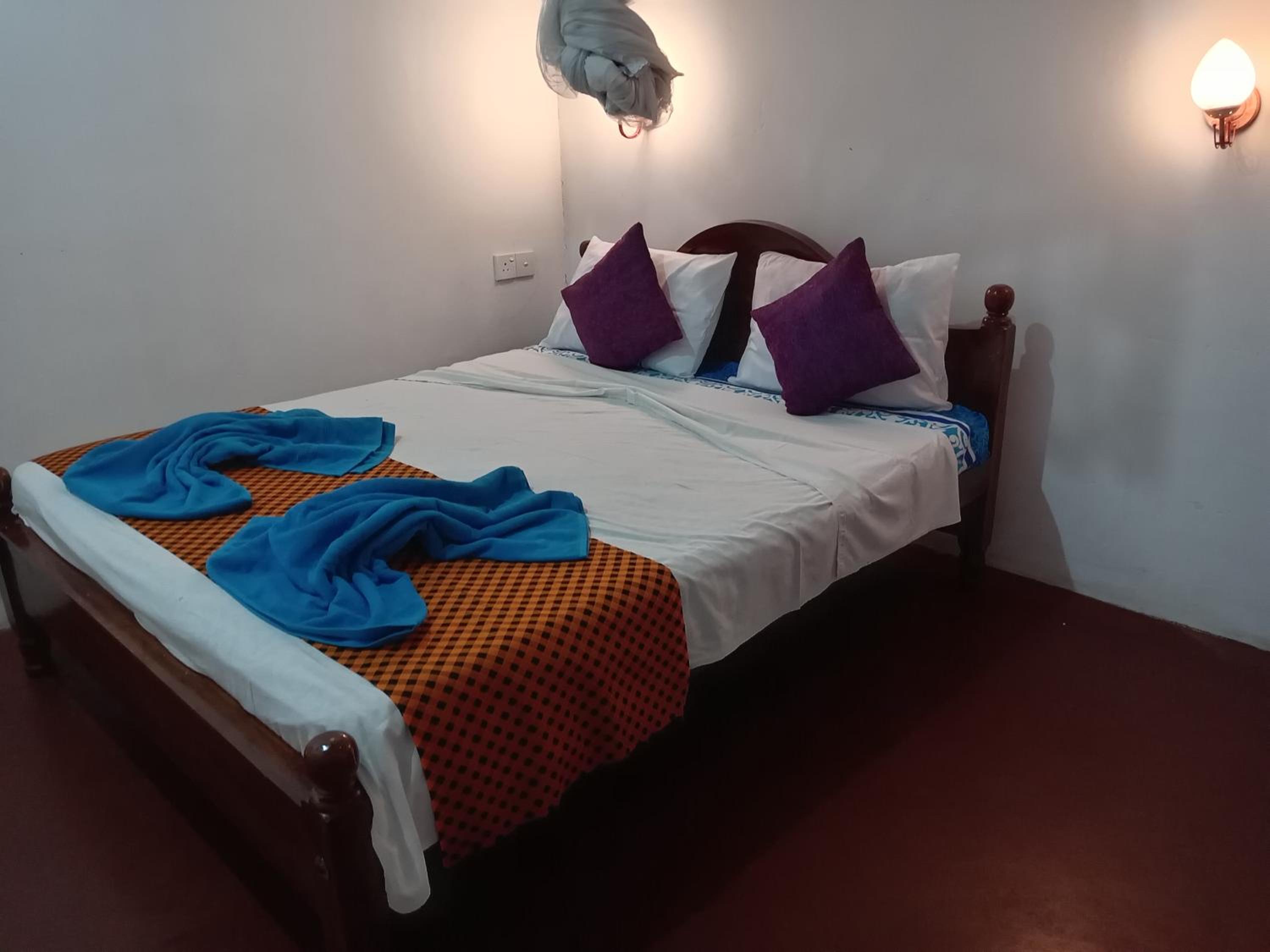 Standard Double Room with Fan photo 1