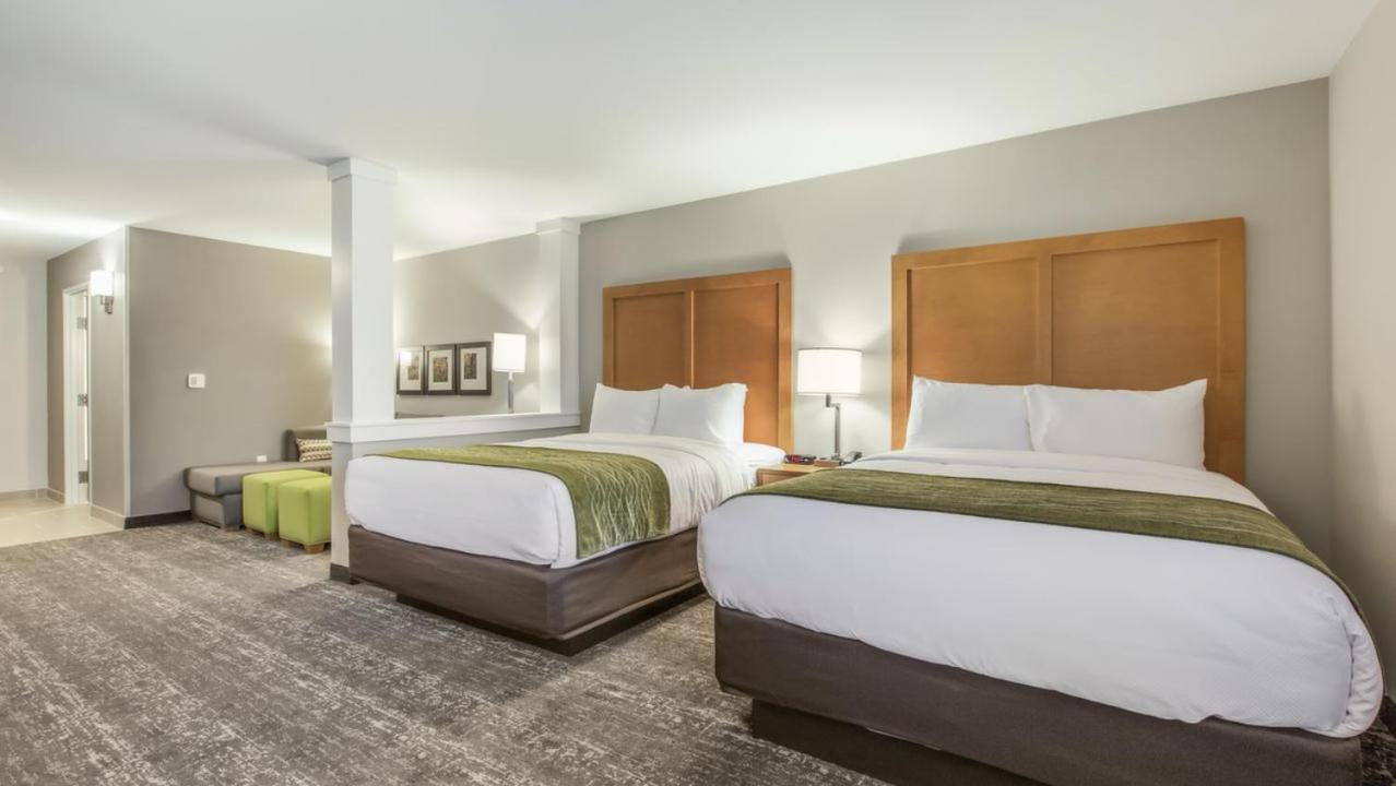 Queen Suite with Two Queen Bed - Non-Smoking - Photo 8
