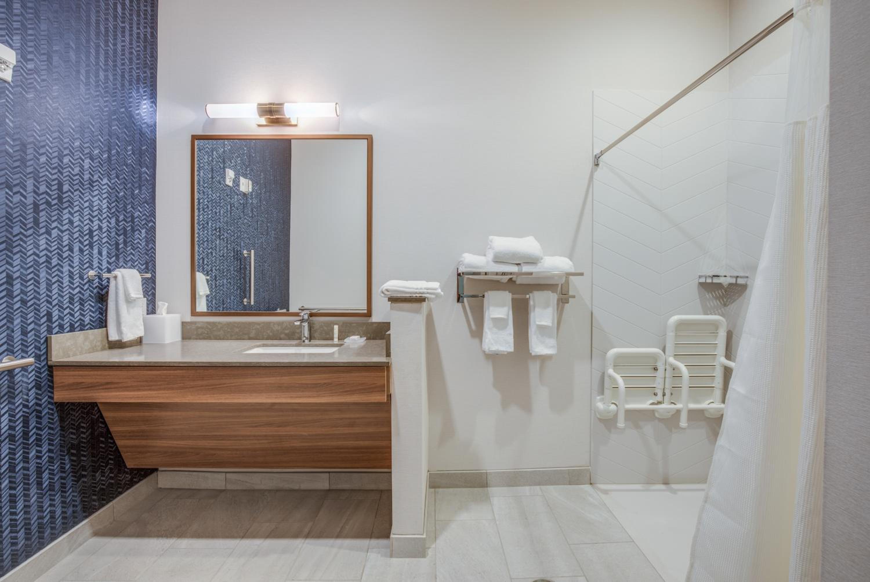 Suite - Mobility Access Roll in Shower/Non-Smoking photo 2