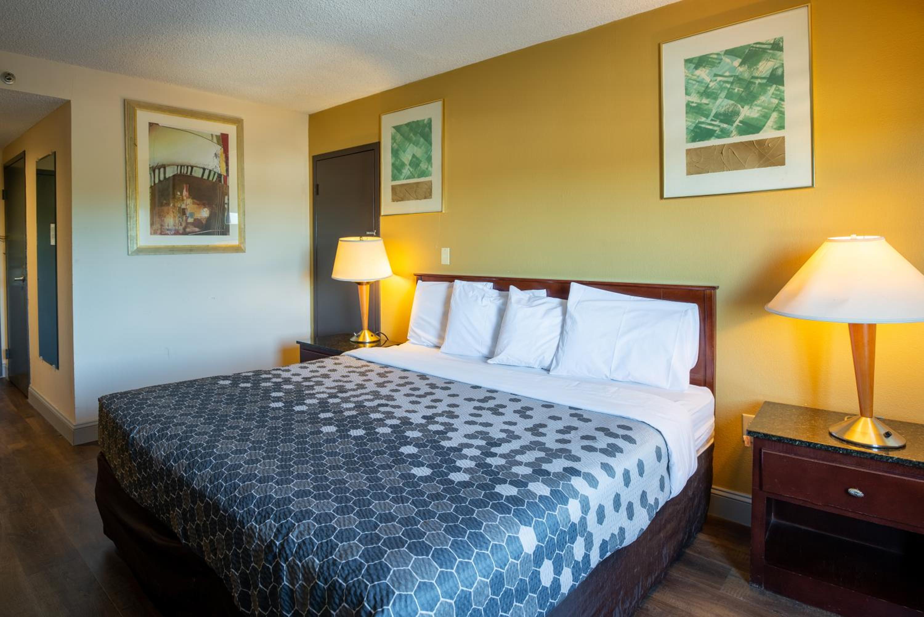 Deluxe King Suite