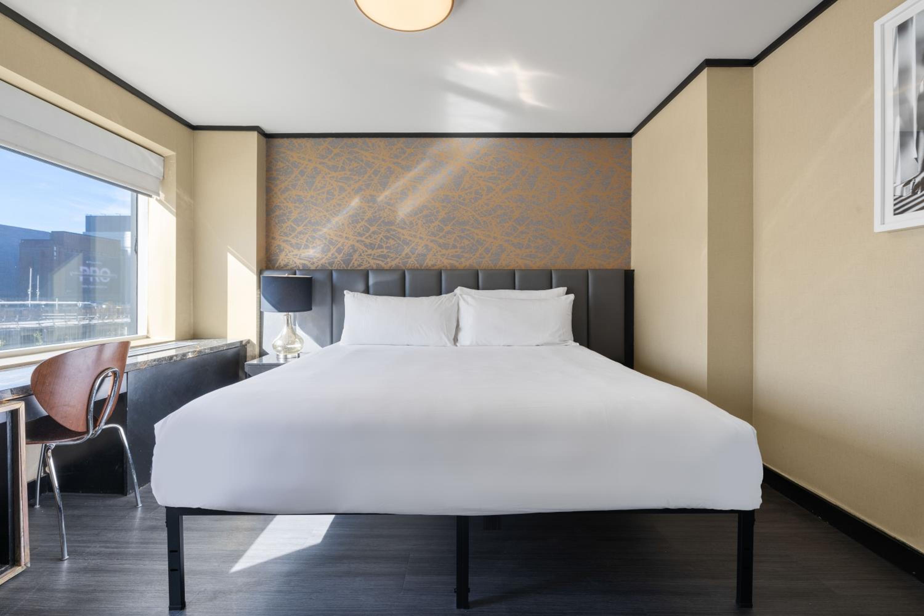 Suite photo 2
