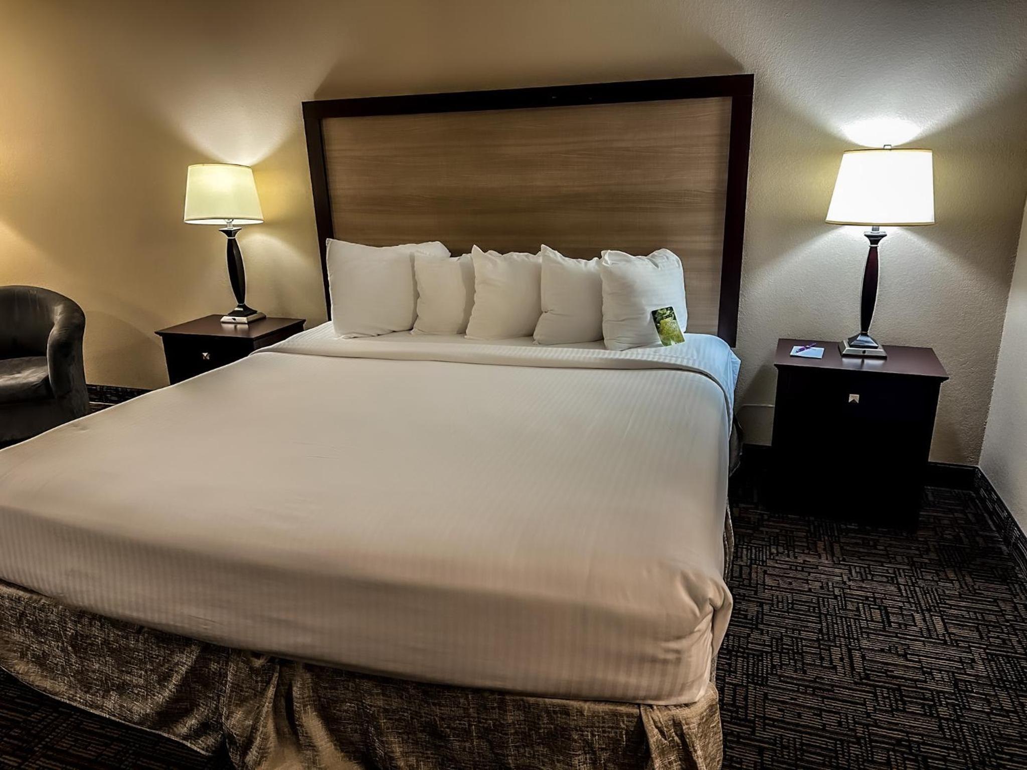 King Room with Pool View photo 1