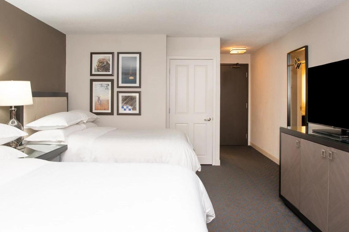 Double Room with Two Double Beds - Hearing Accessible  - Photo 3