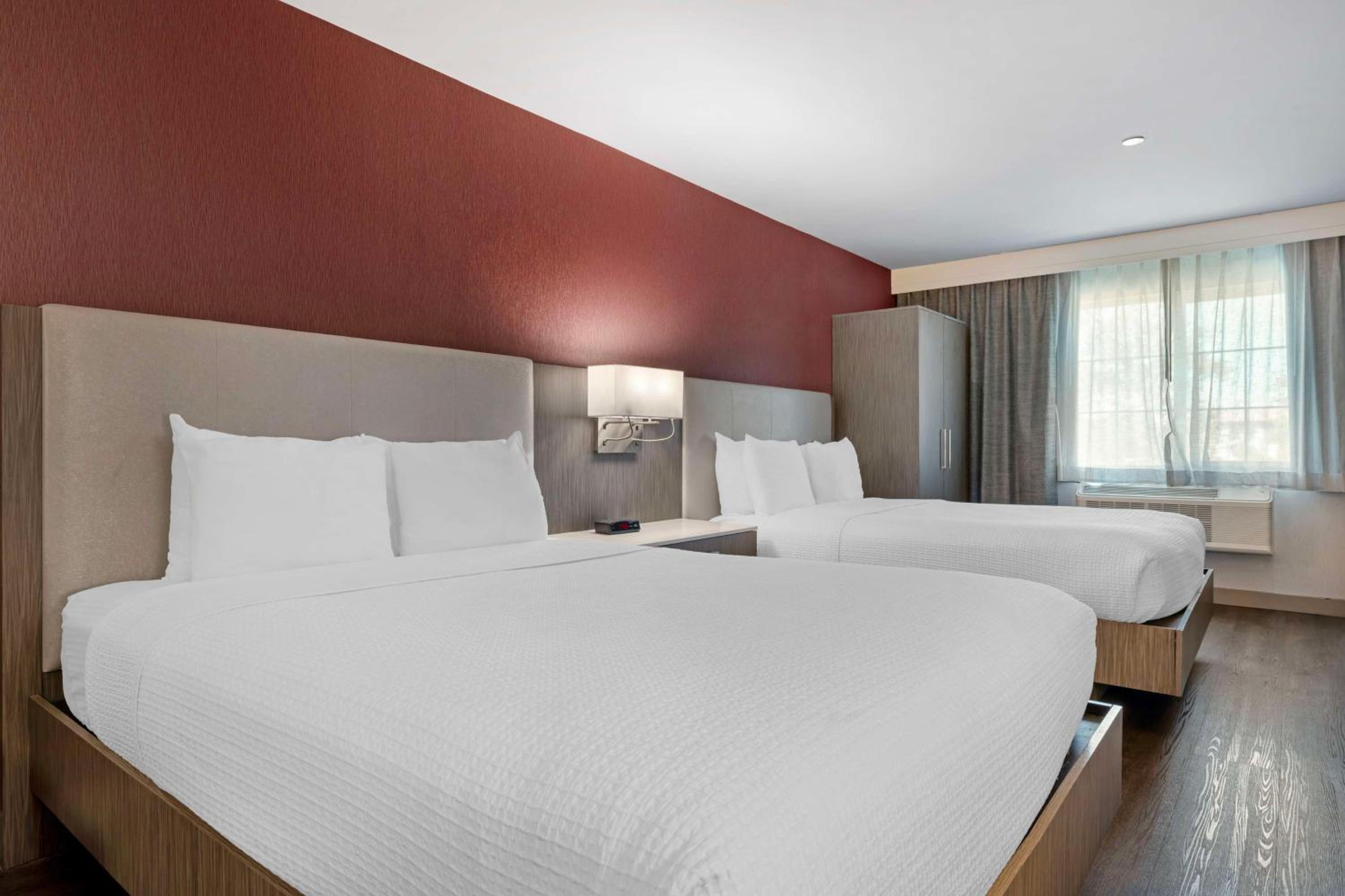 Queen Suite with Roll-In Shower and Sofa Bed - Mobility Accessible/Non-Smoking photo 2