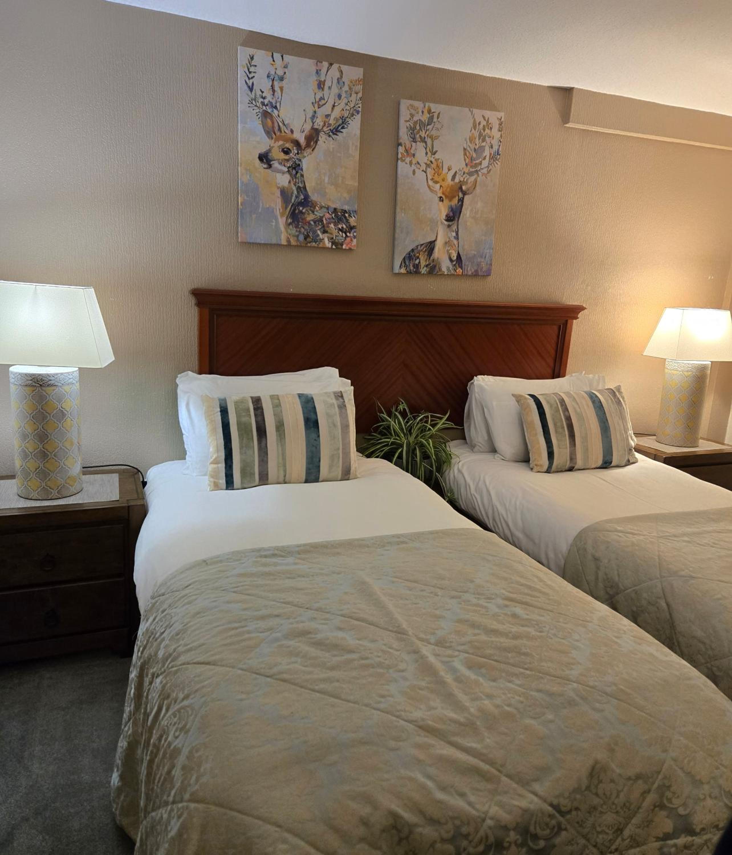 Budget Twin Room - Photo 2