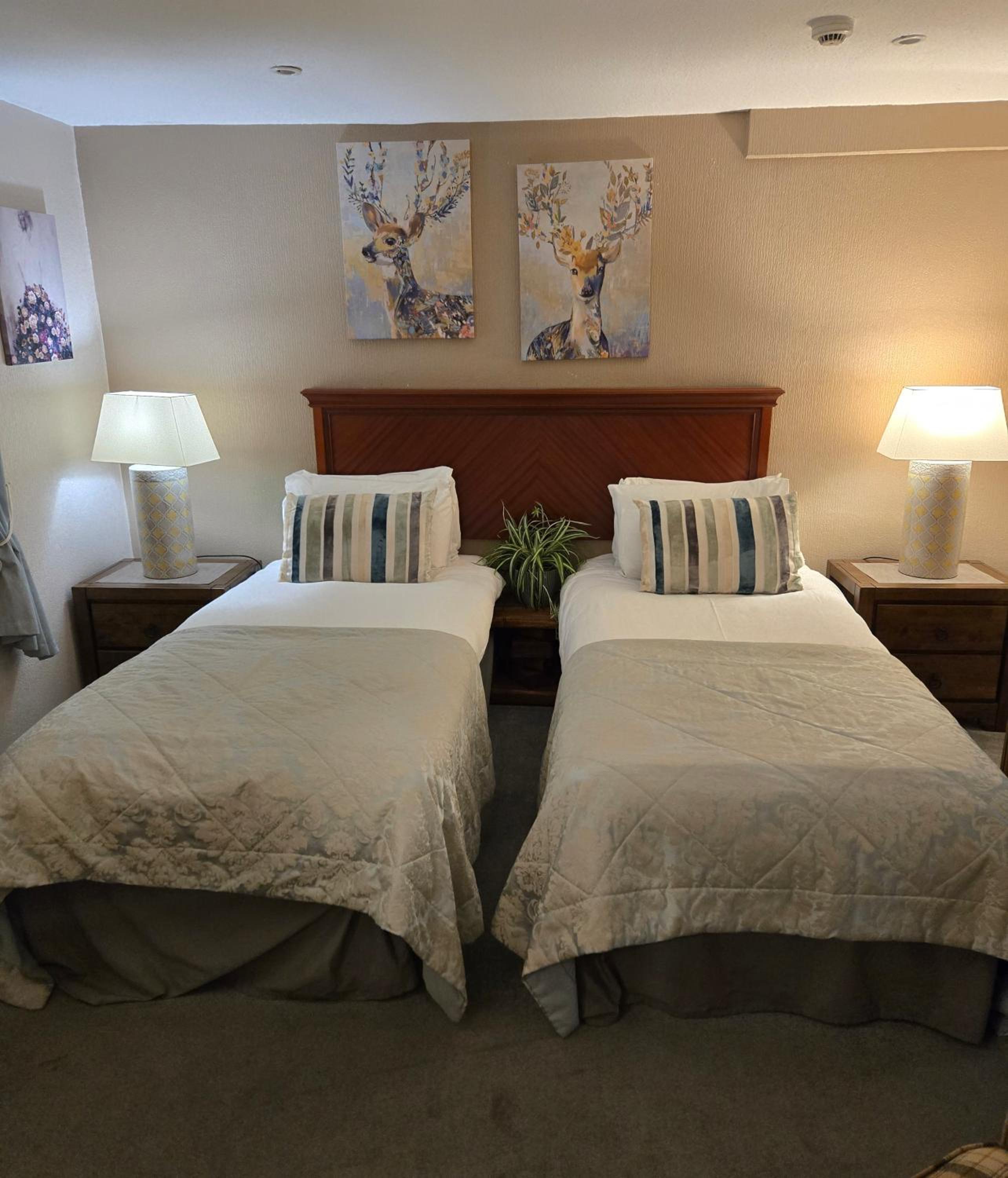Budget Twin Room - Photo 1