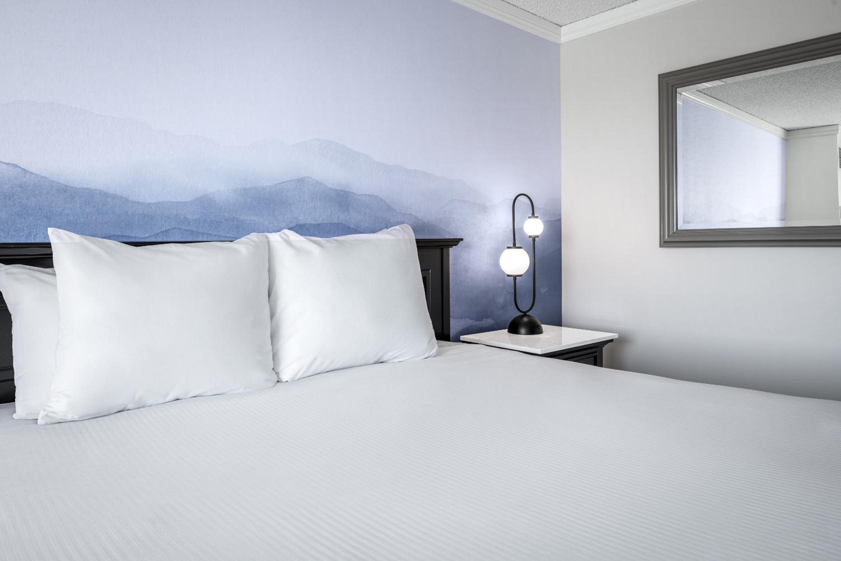 Deluxe King Room - Photo 4