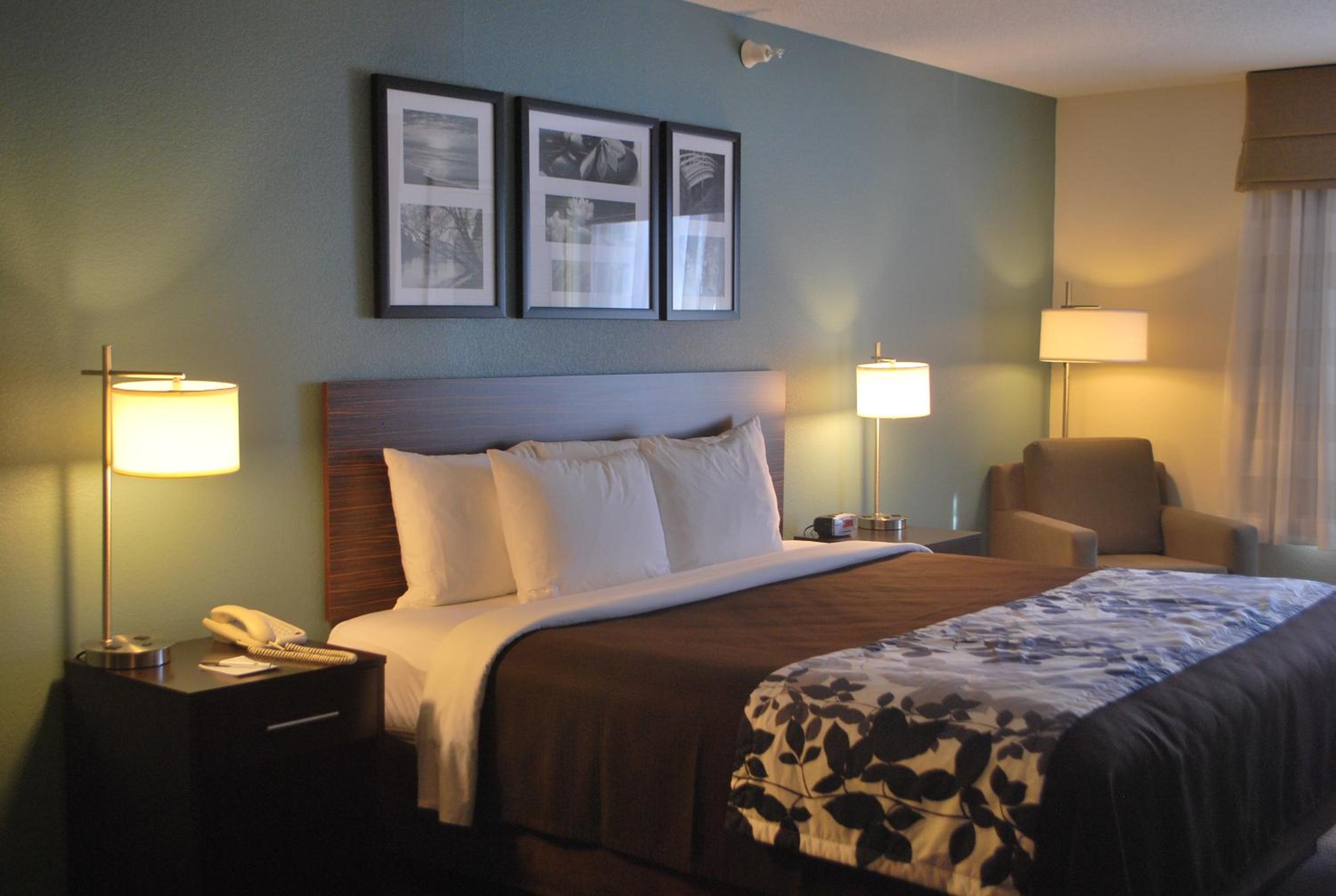 King Suite - Accessible/Non-Smoking
