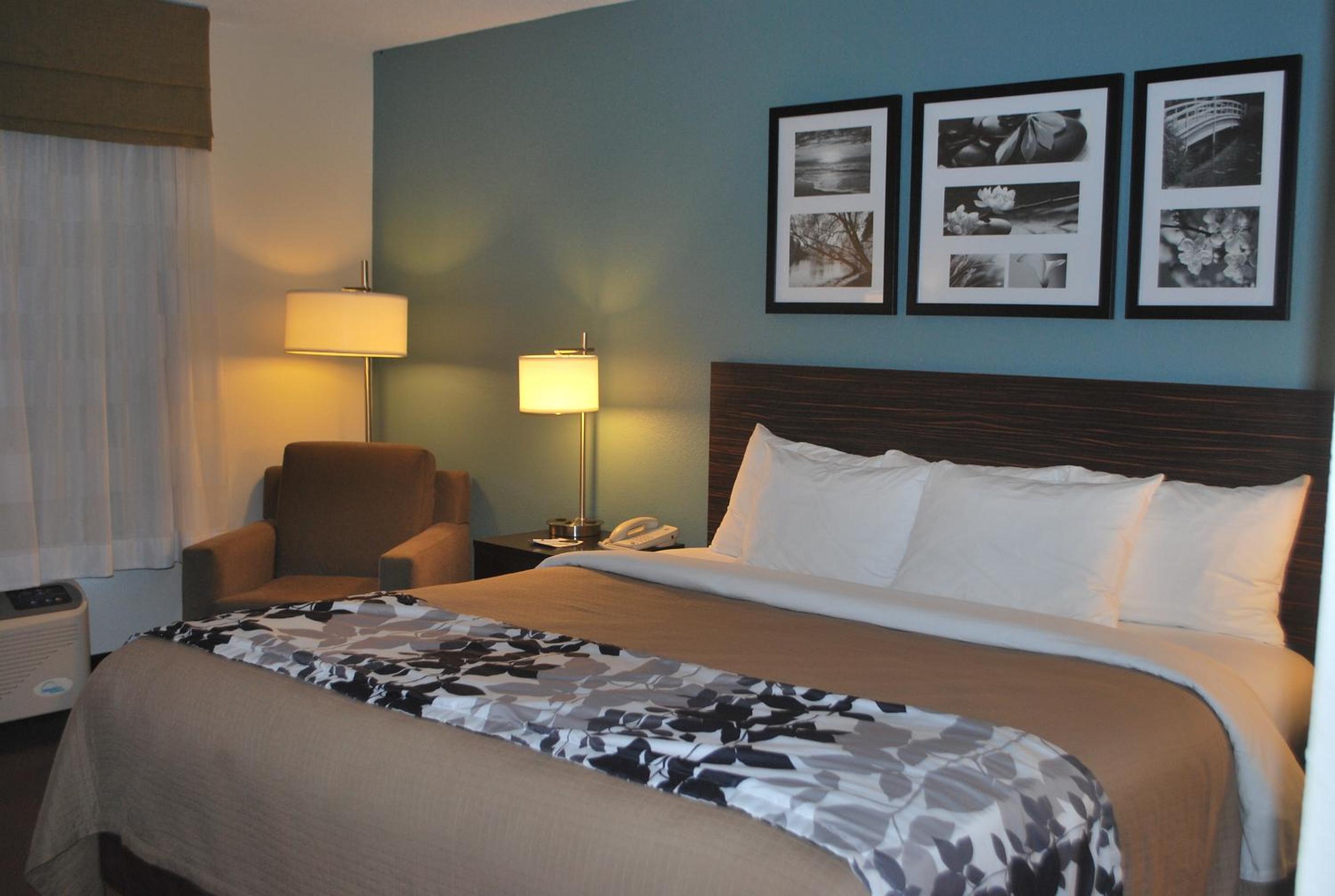 King Suite - Accessible/Non-Smoking photo 2