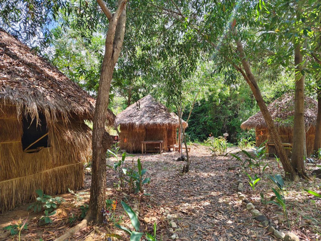 Bungalow With Garden View photo 2