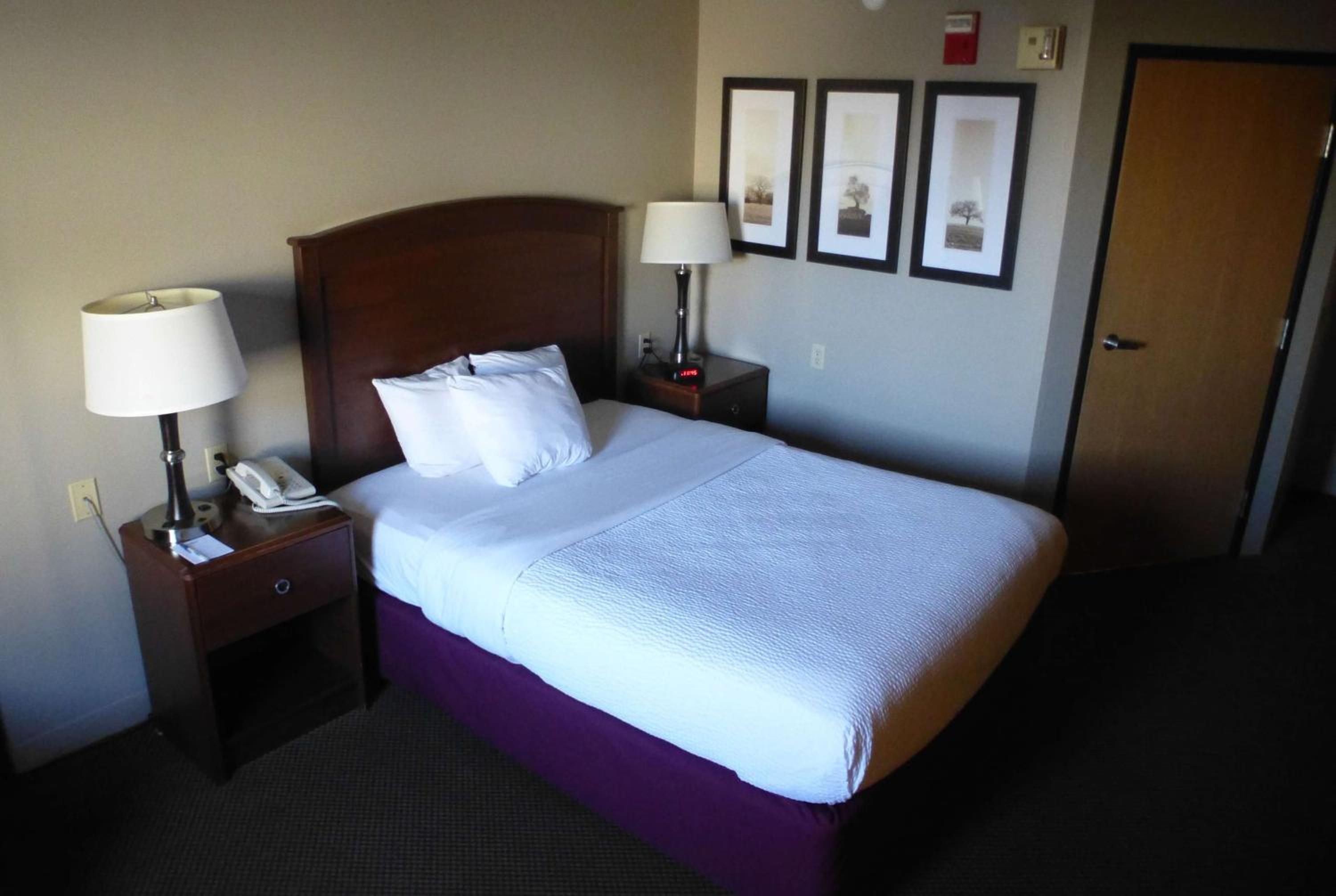 Queen Room - Mobility Access/Non-Smoking - Photo 1