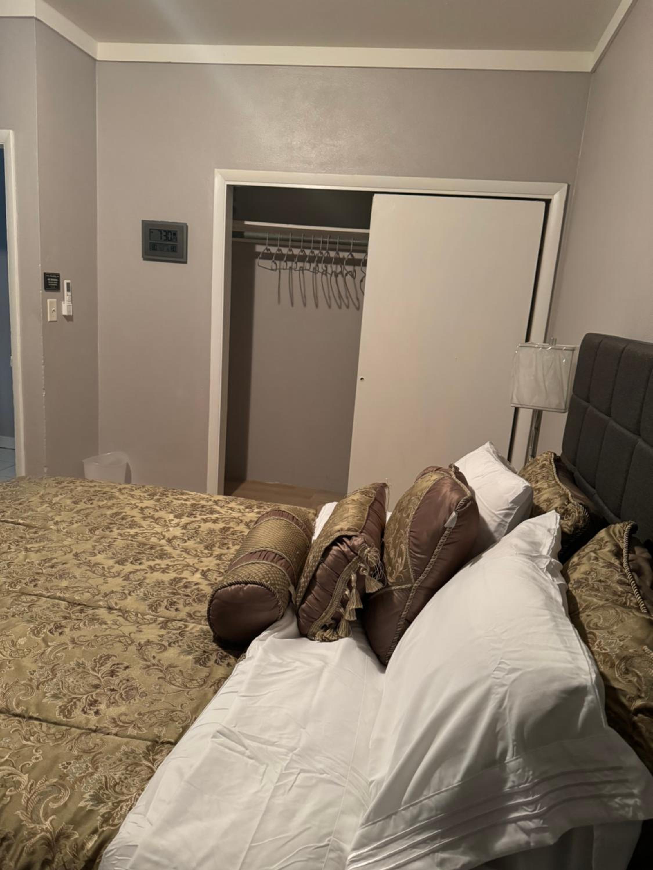 Deluxe One-Bedroom Apartment photo 2