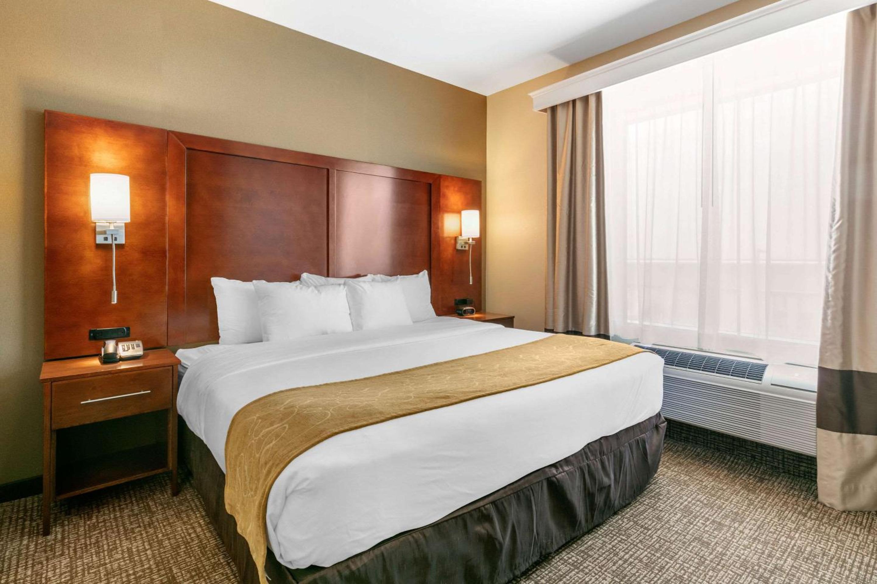 One Room Suite with Whirlpool - Non Smoking
