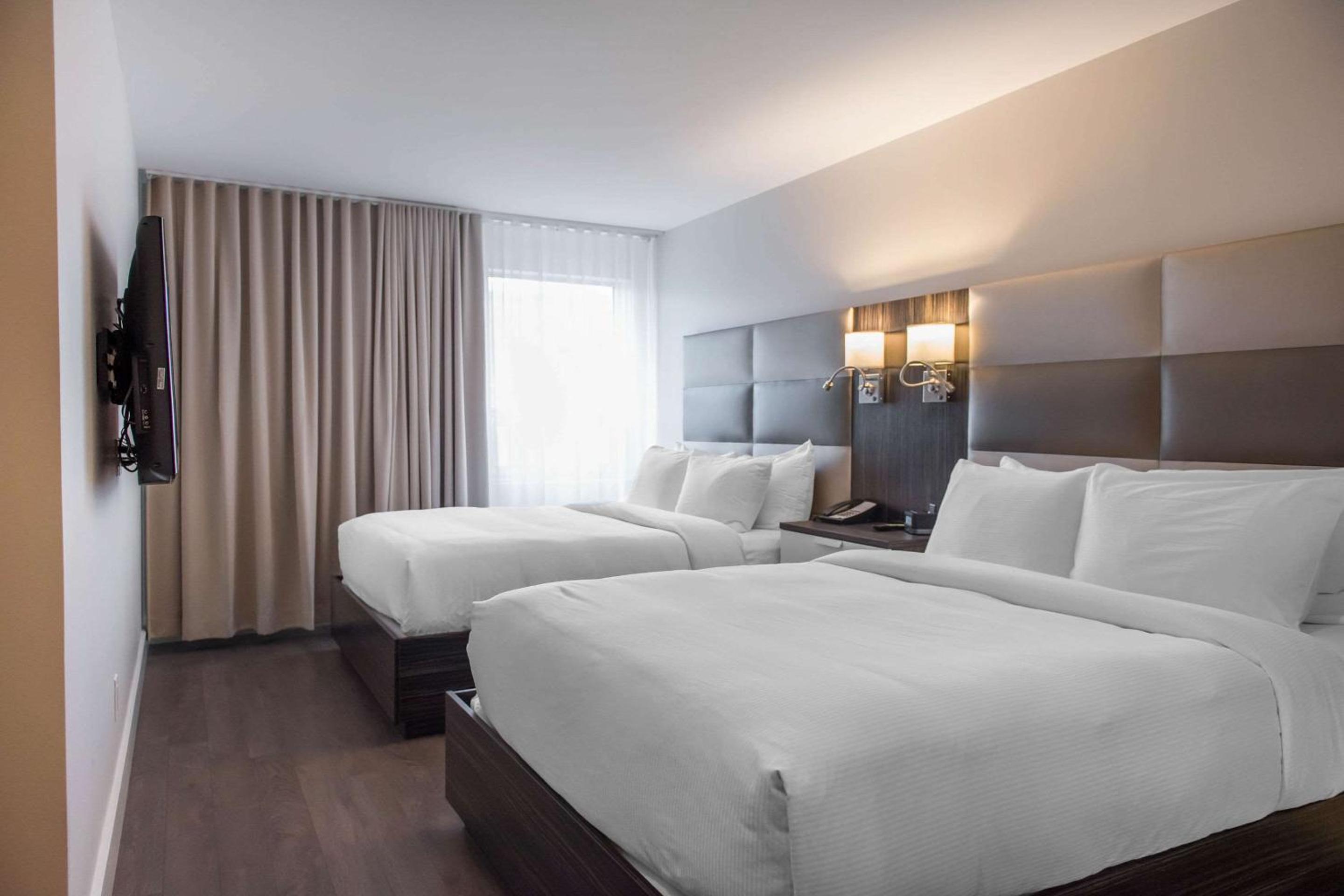 Queen Suite with Two Queen Beds and Sofa Bed - Photo 3
