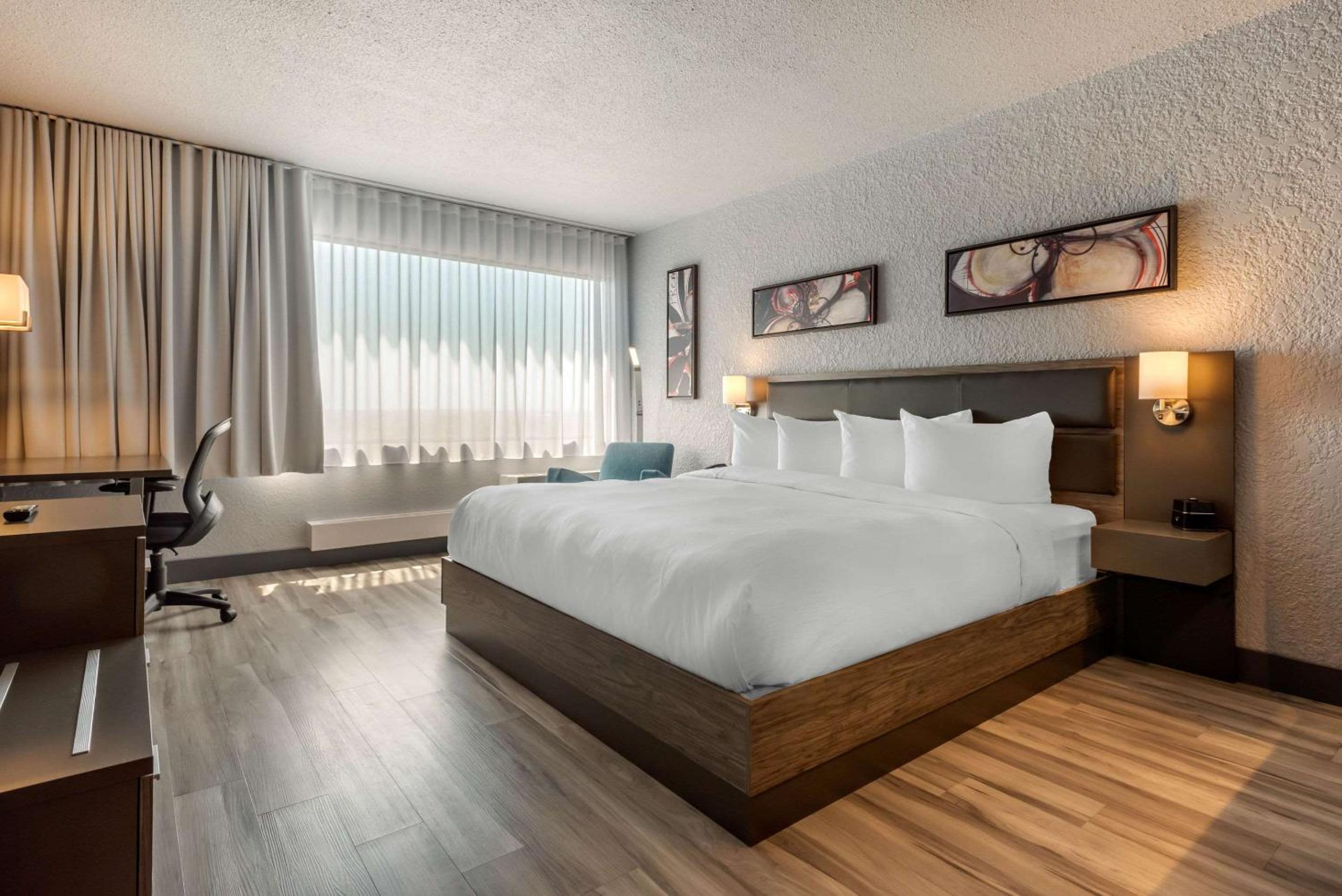 Deluxe King Room