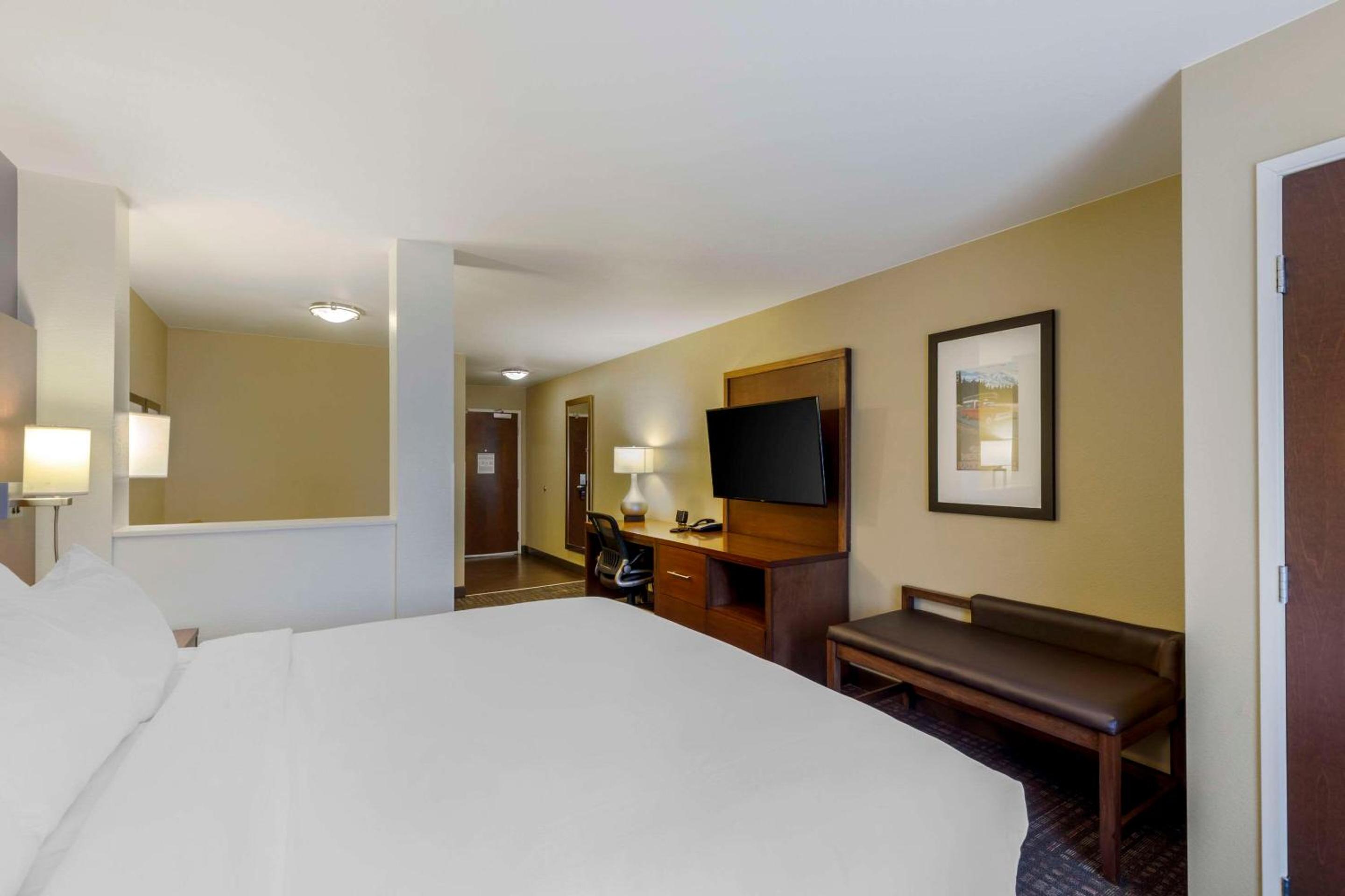 King Suite with Sofa Bed - Non-Smoking photo 1