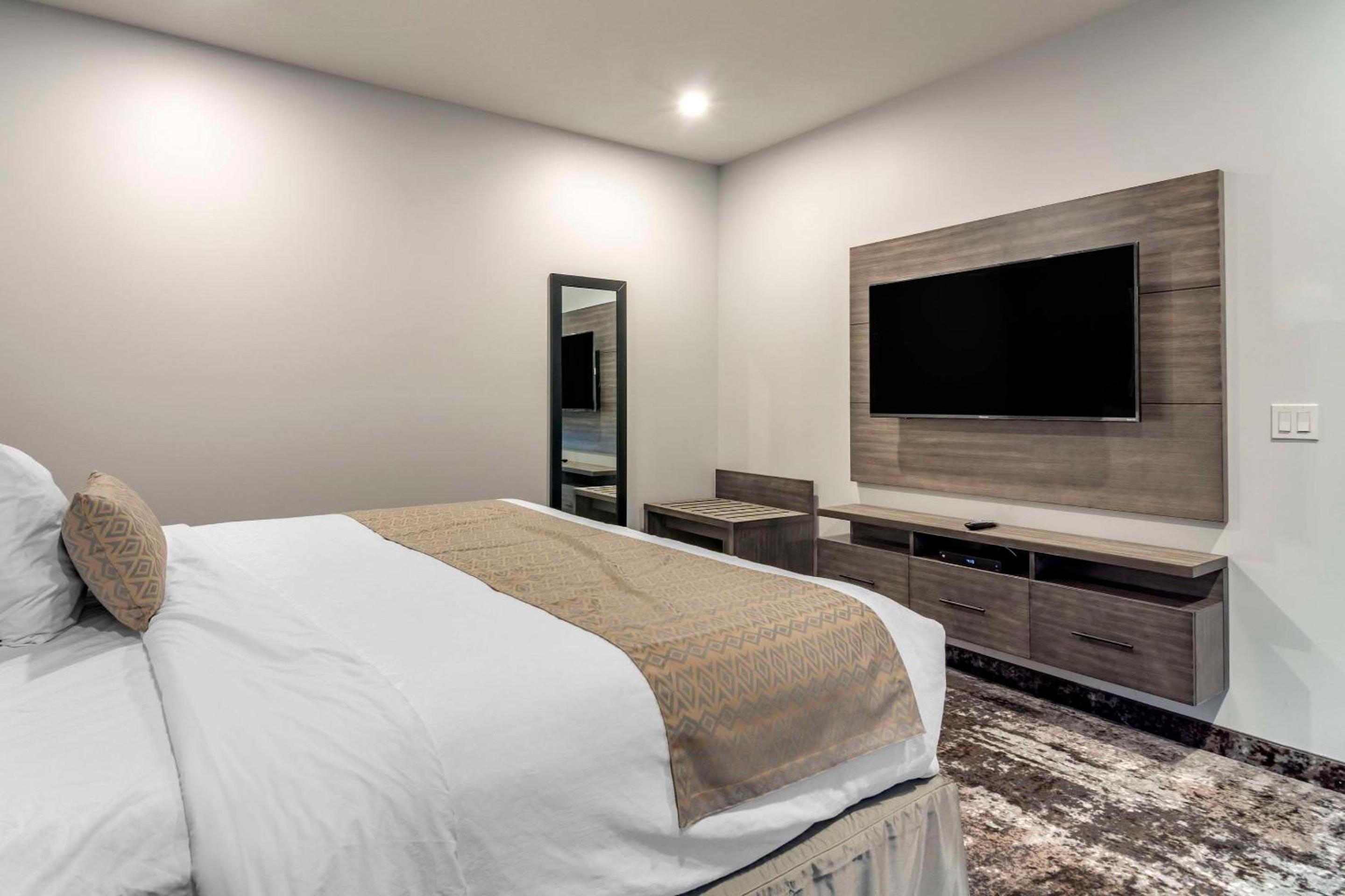 Efficiency King Suite with Sofa Bed - Non-Smoking - Photo 3