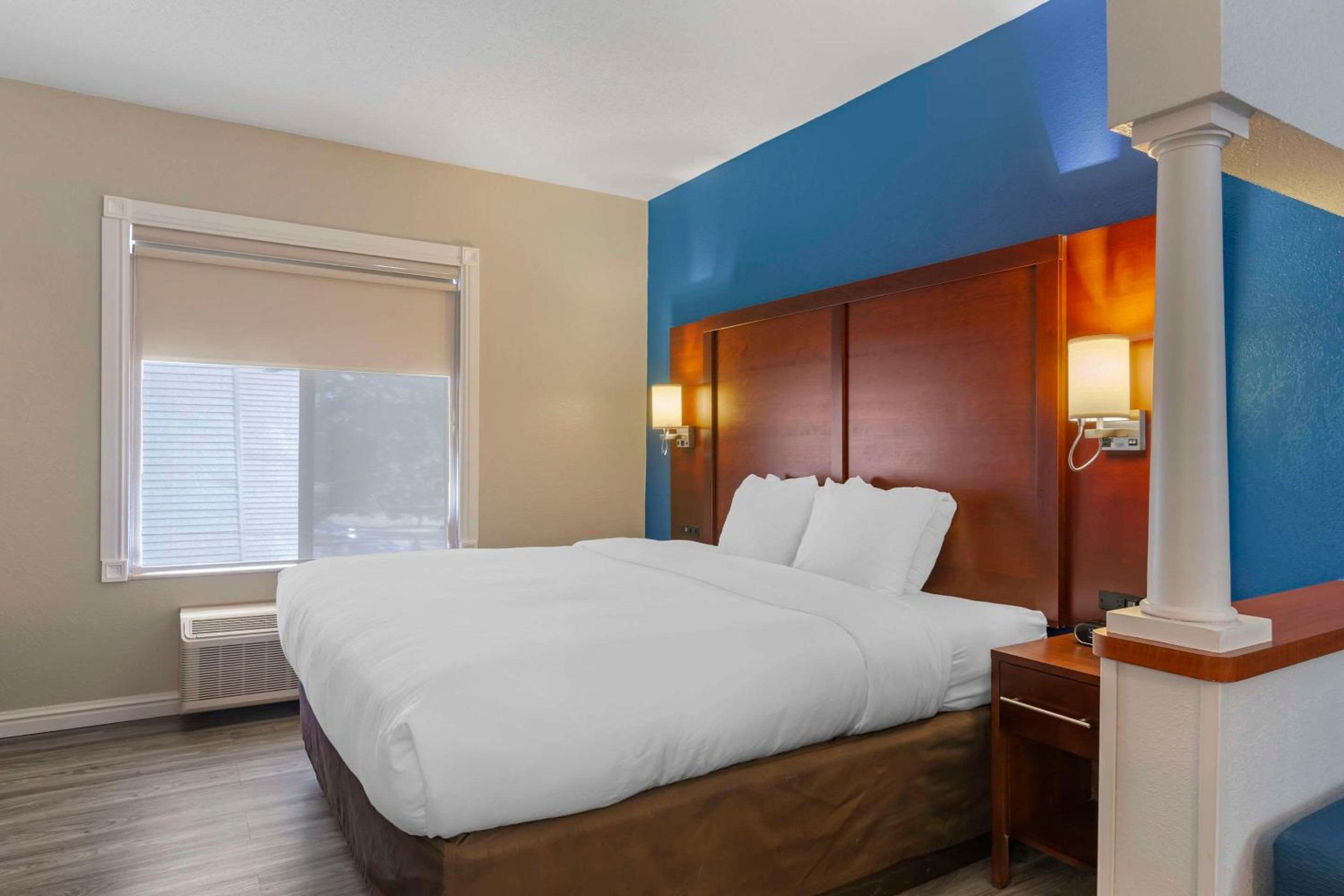 King Suite with Sofa Bed - Photo 1
