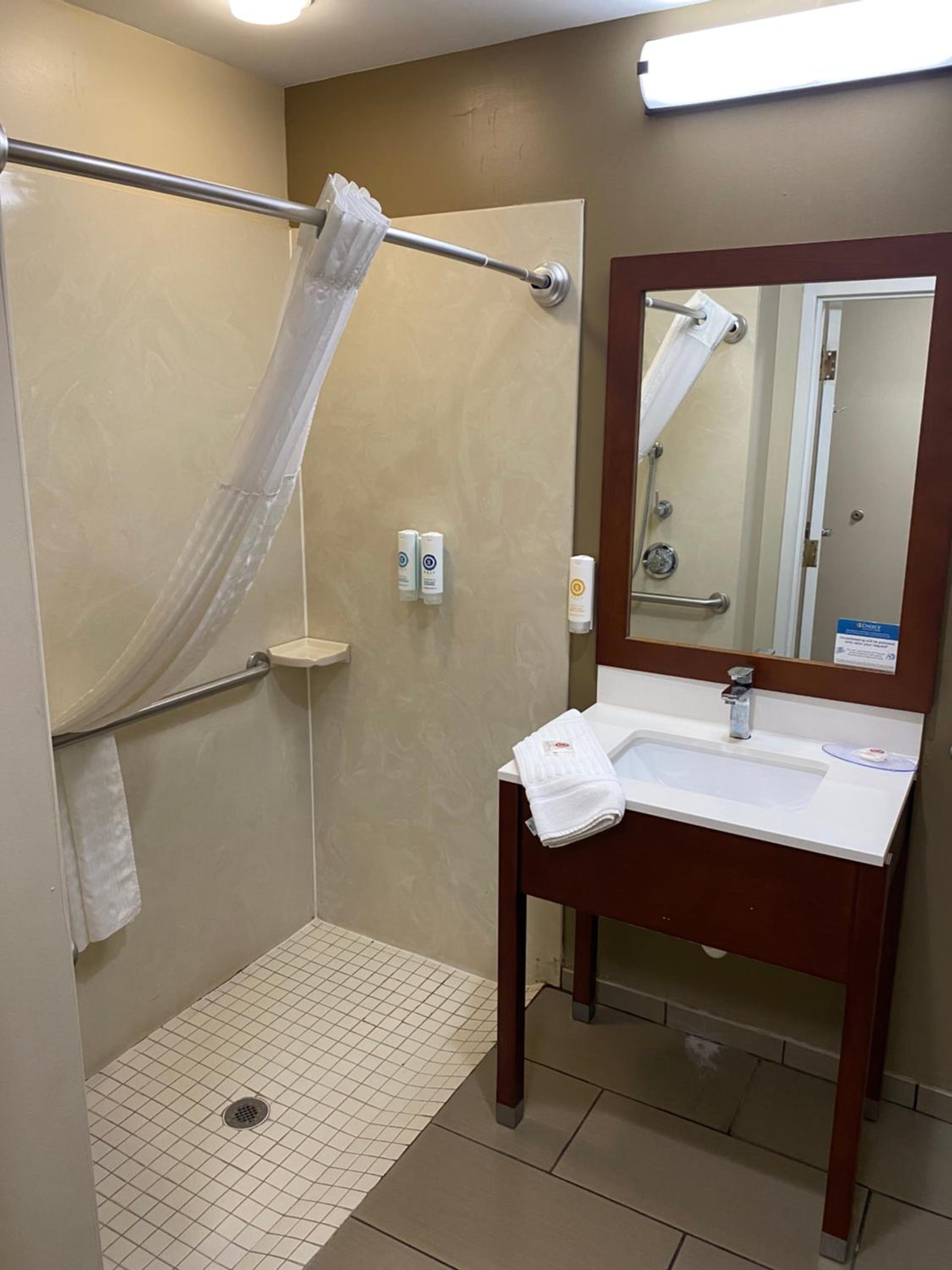 King Room with Roll-In Shower - Accessible/Non-Smoking - Photo 3