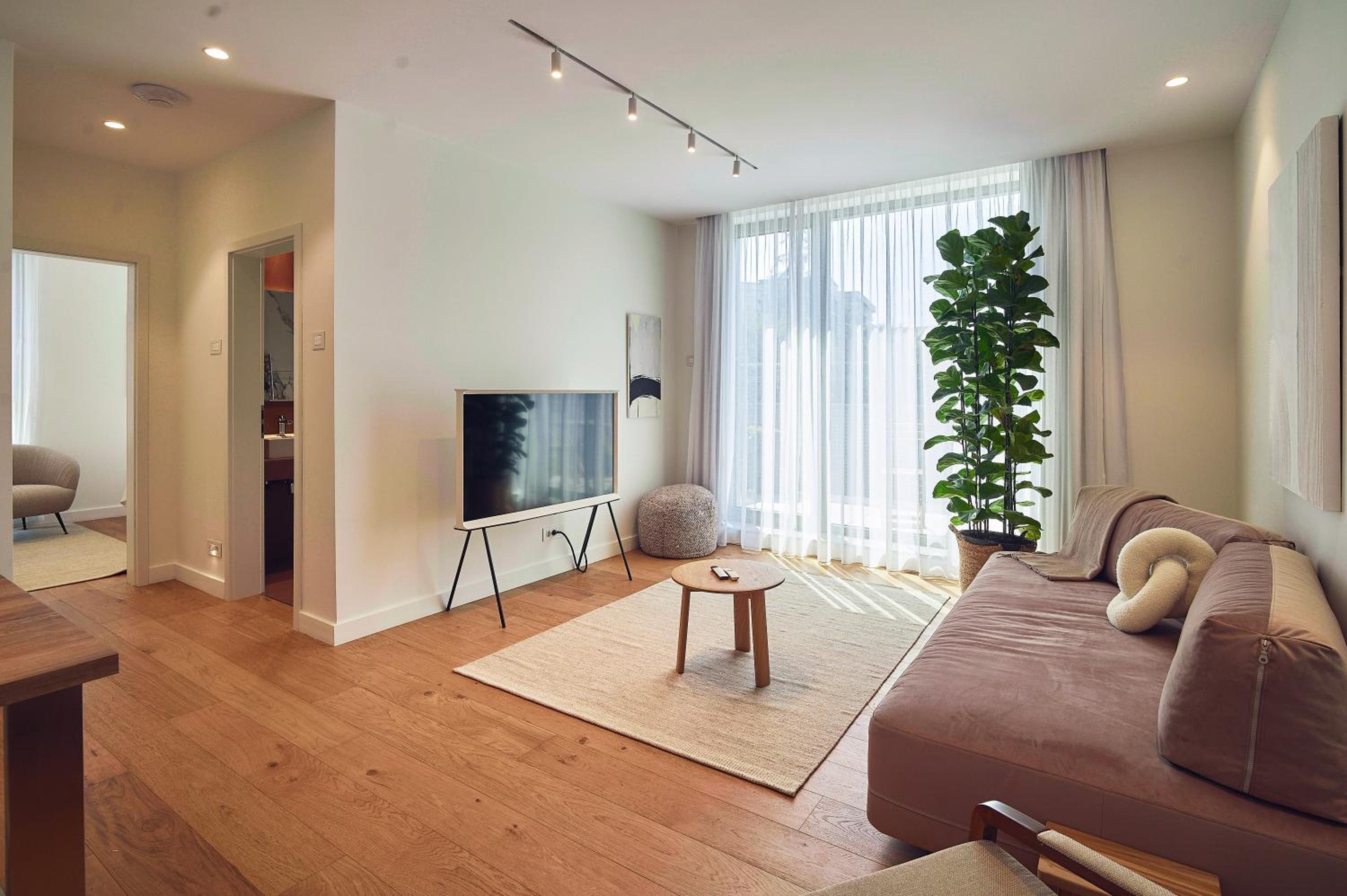 Deluxe One-Bedroom Apartment