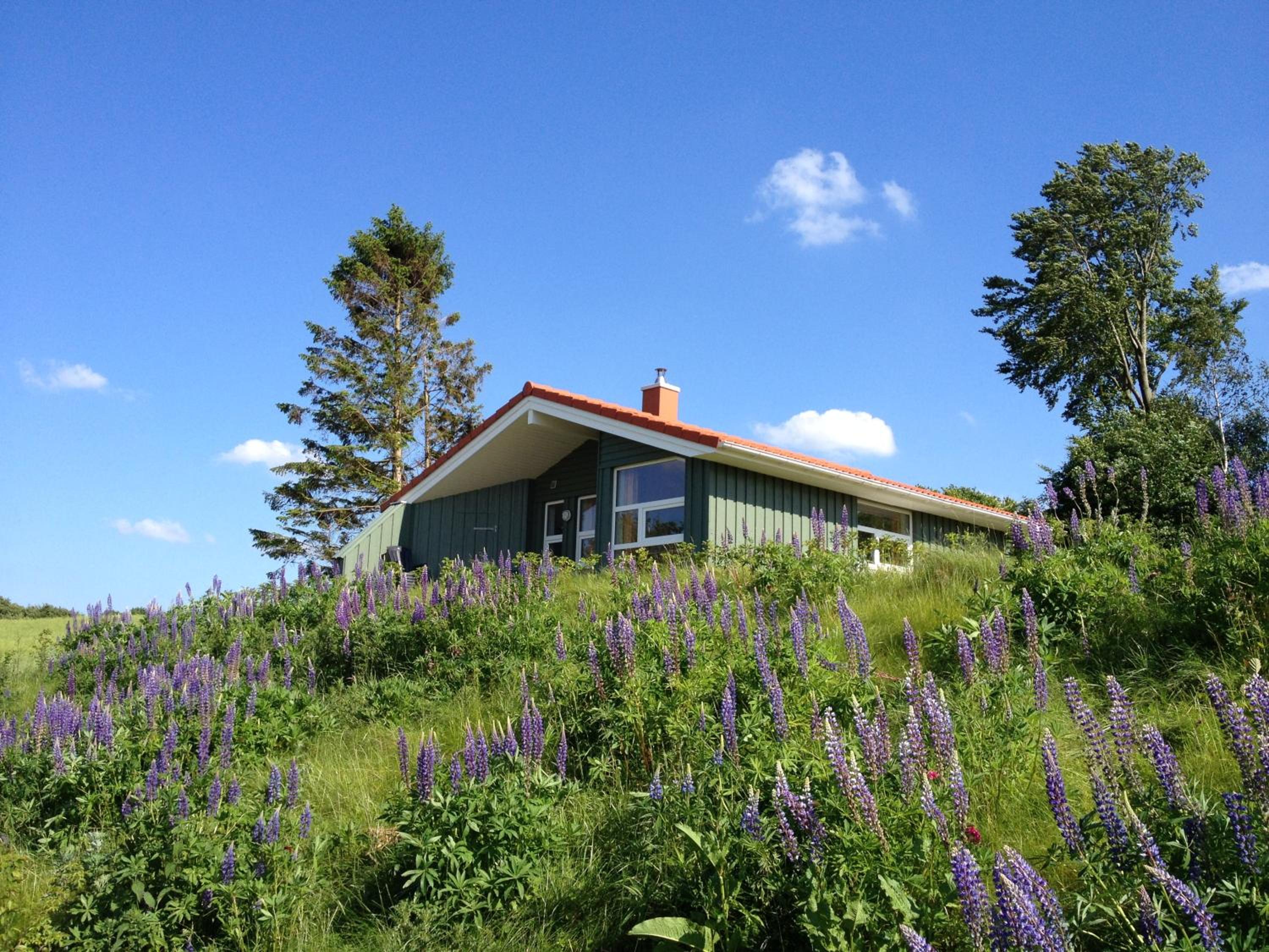Skipper-Lodge East (dog allowed)