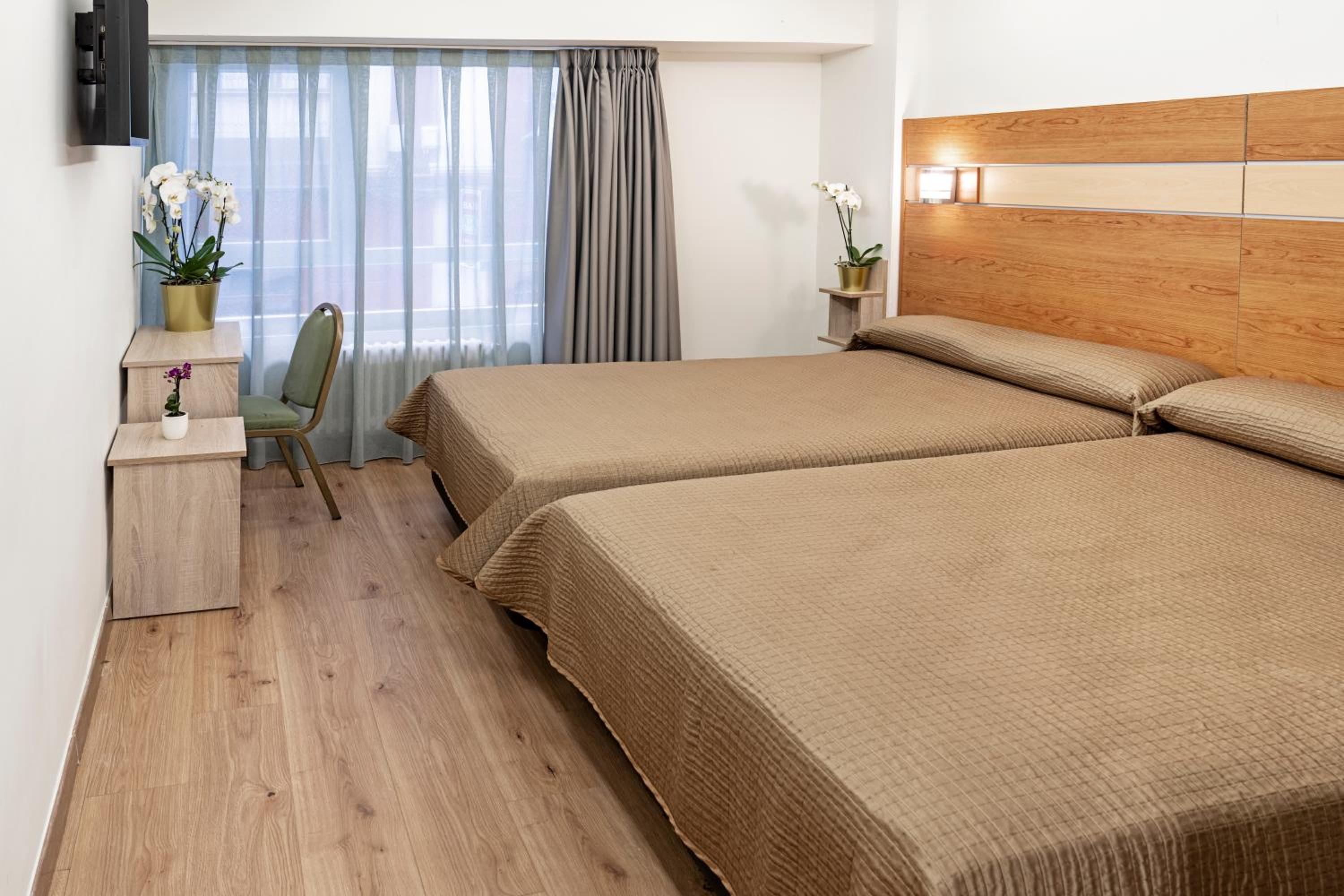 2 Single Beds, Premium Room - Photo 1
