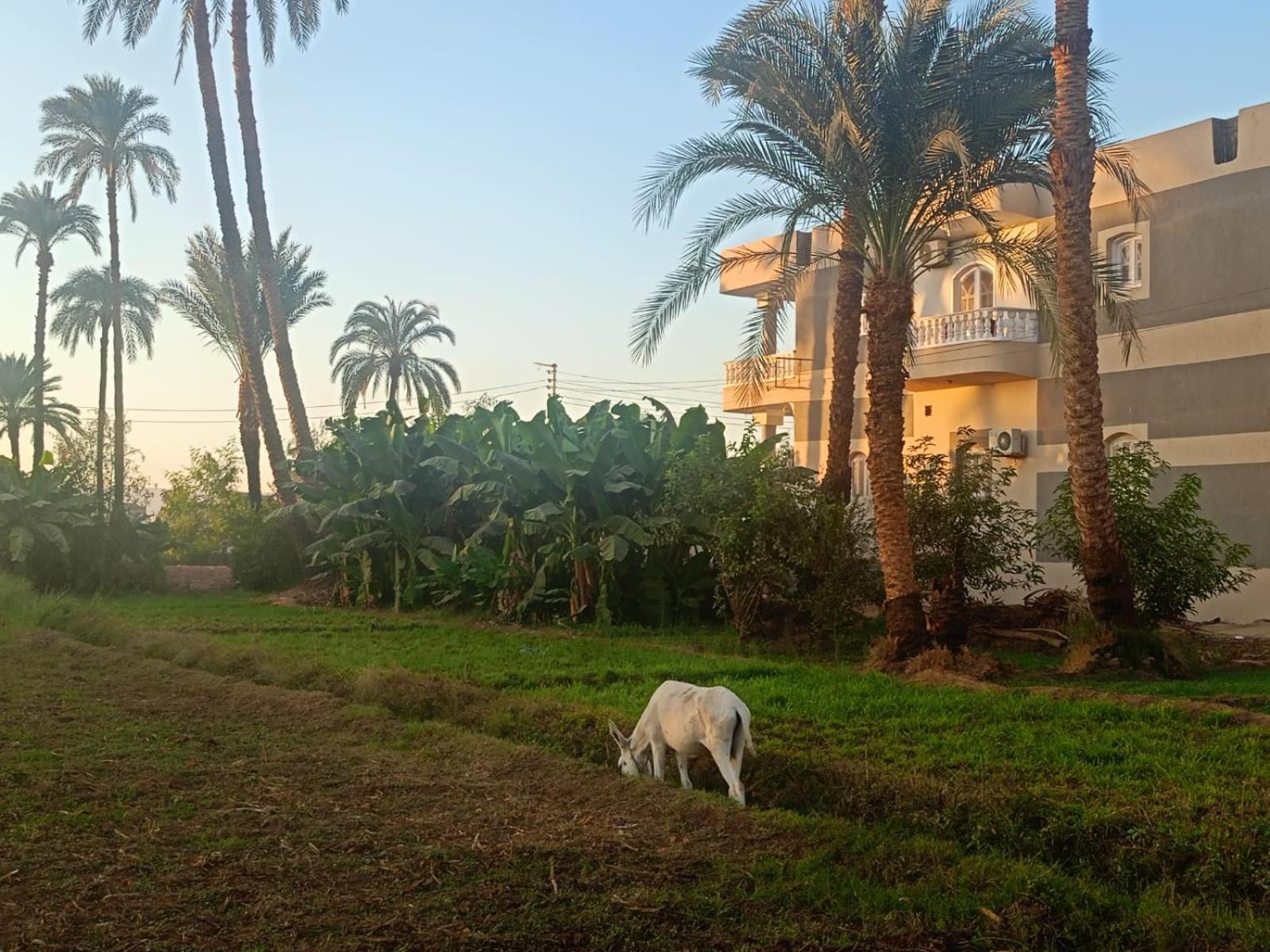 Villa photo 3