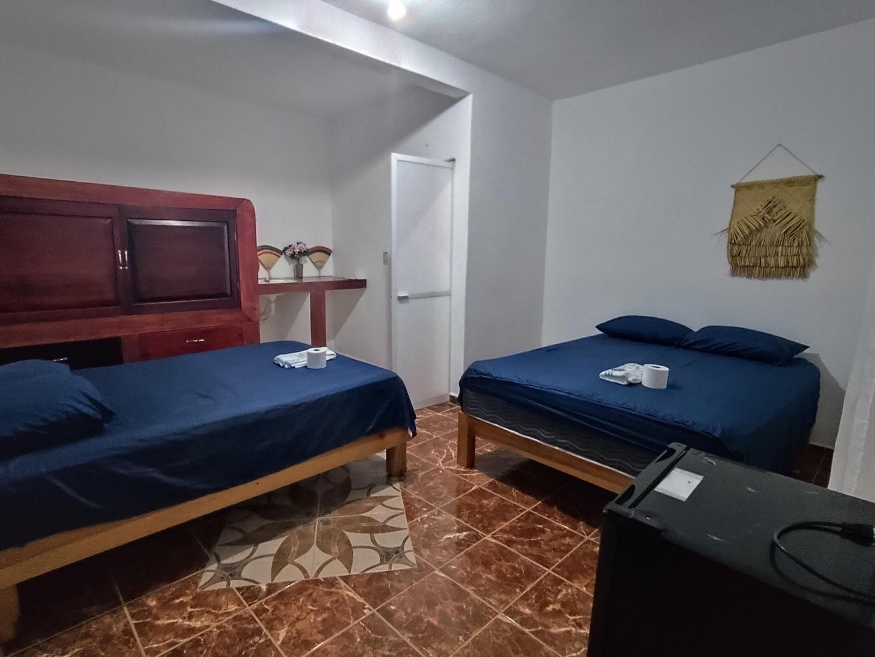 Twin Room photo 2