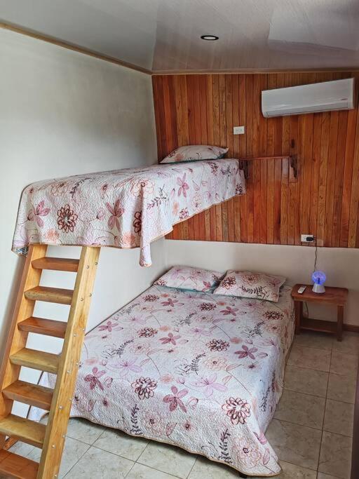 Three-Bedroom Villa photo 2