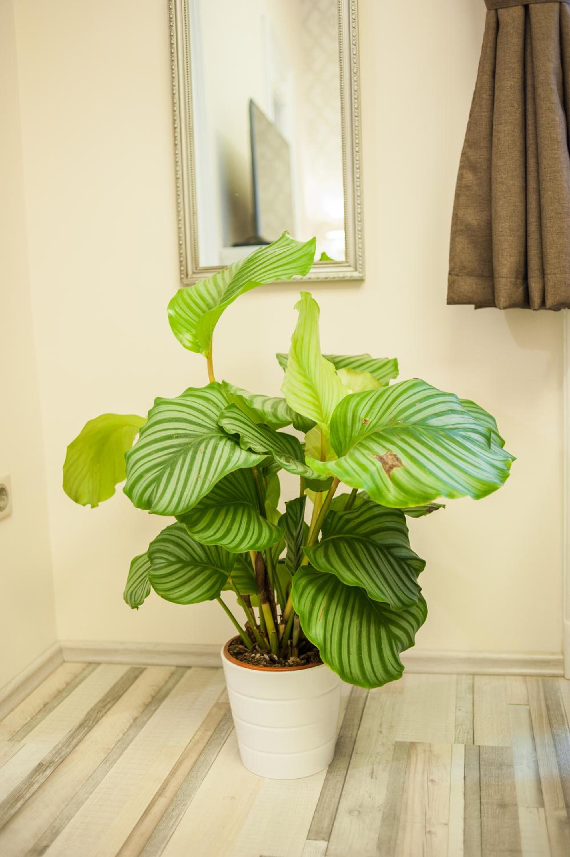 Superior Apartment - Photo 33