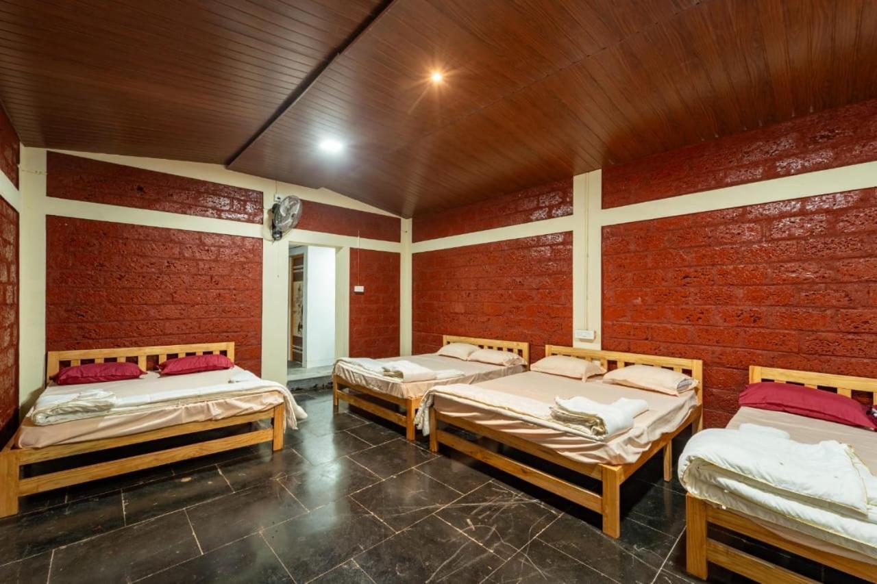 10-Bed Mixed Dormitory Room