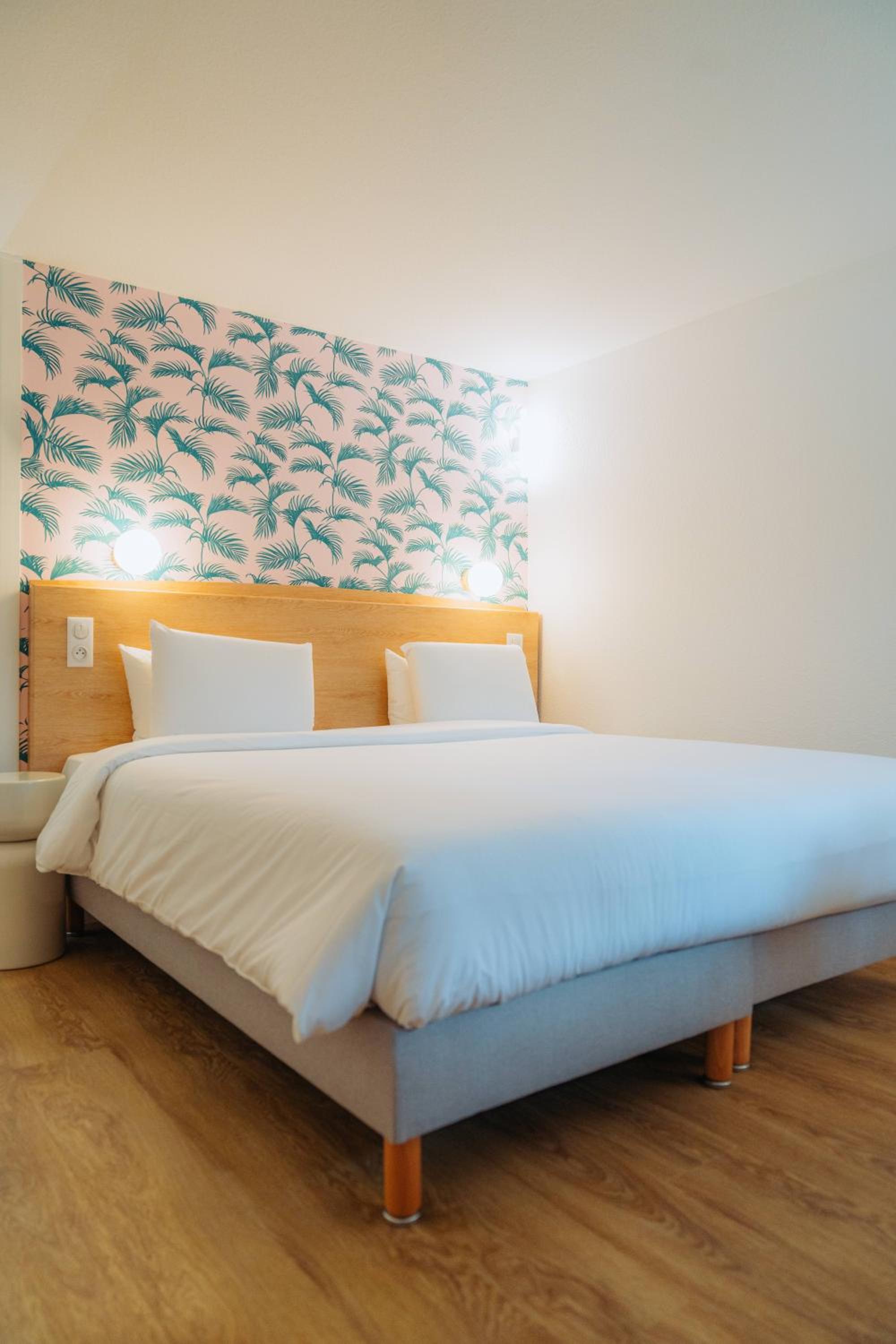 Superior Room - 1 Room - 1 King Bed