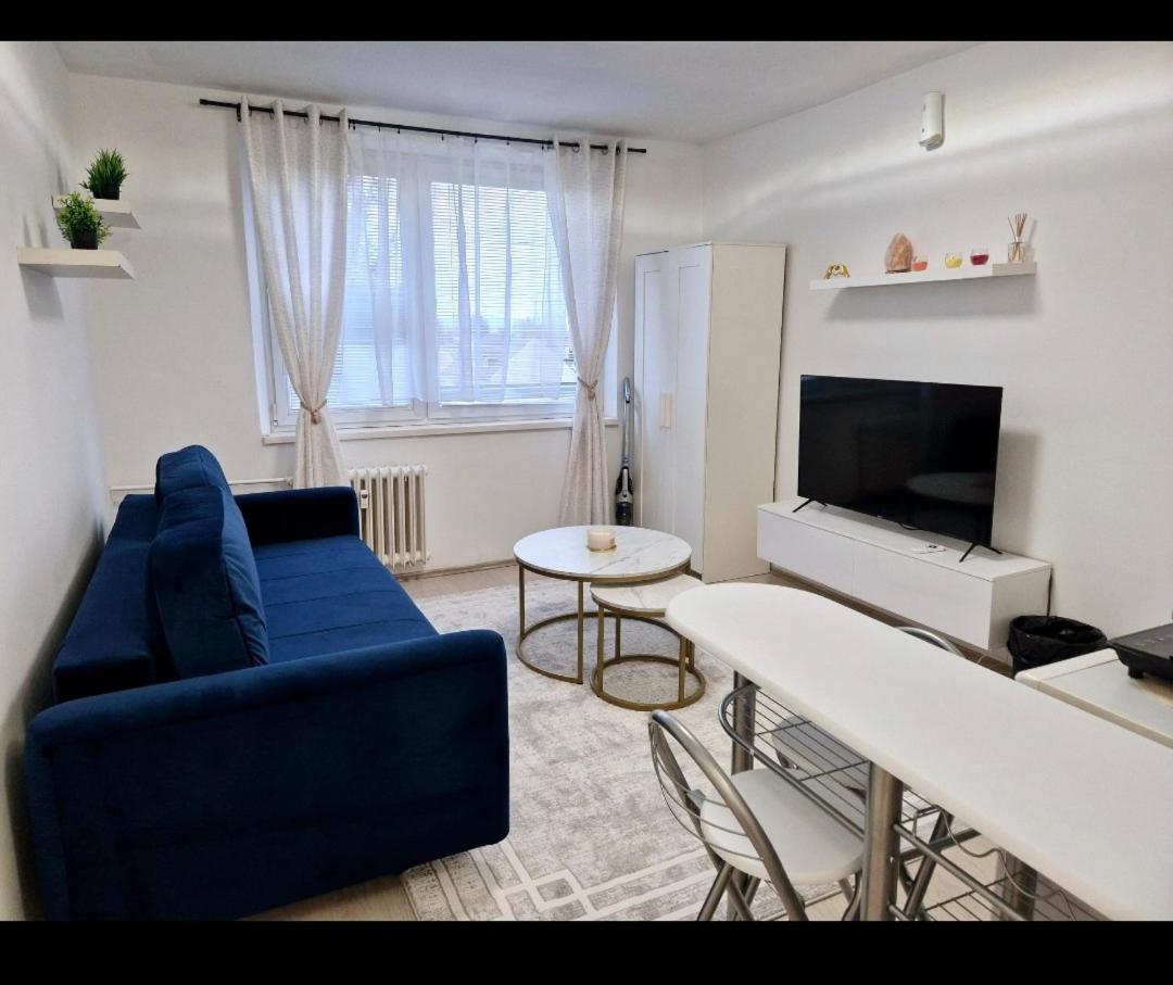 One-Bedroom Apartment photo 3