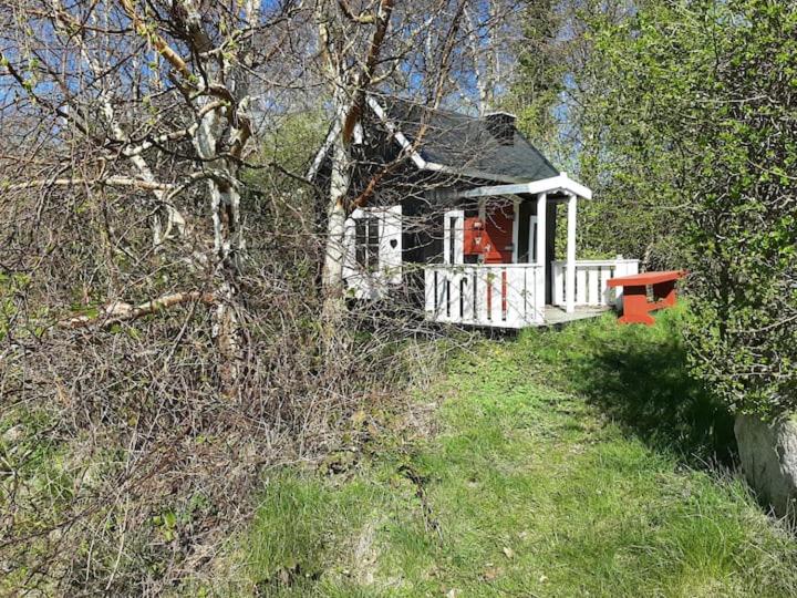 One-Bedroom House photo 3
