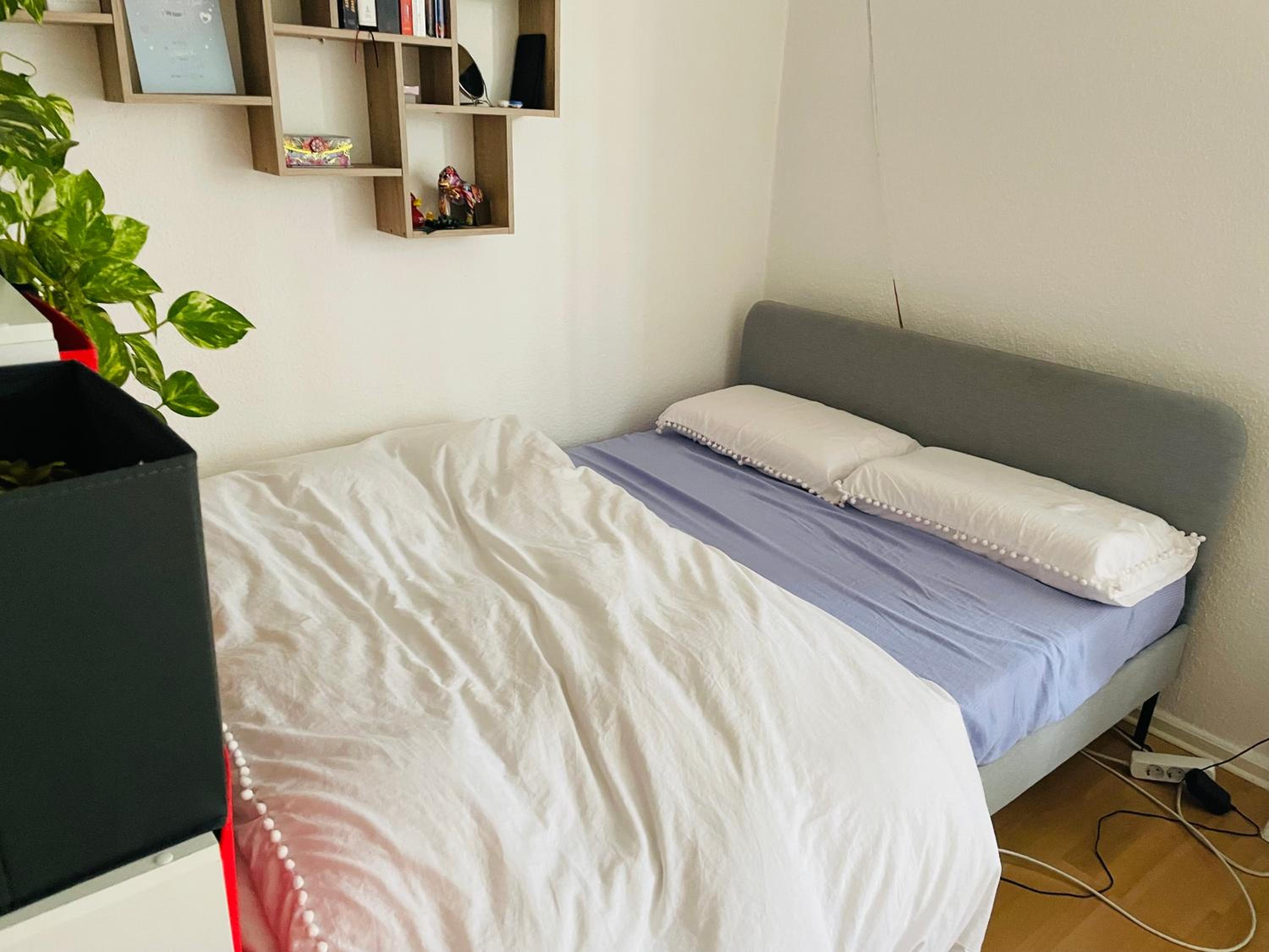 Two-Bedroom Apartment photo 3