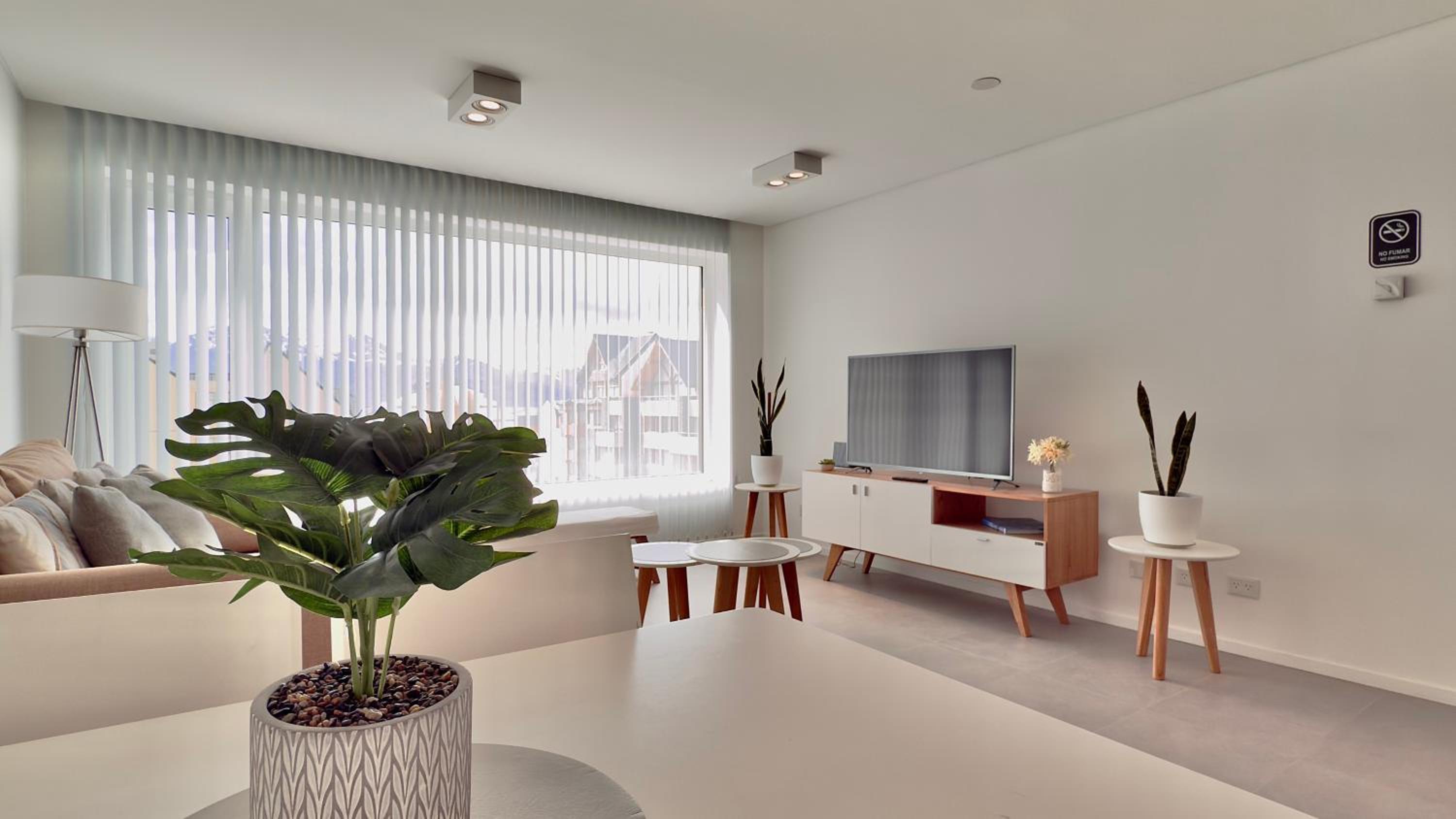 Deluxe One-Bedroom Apartment