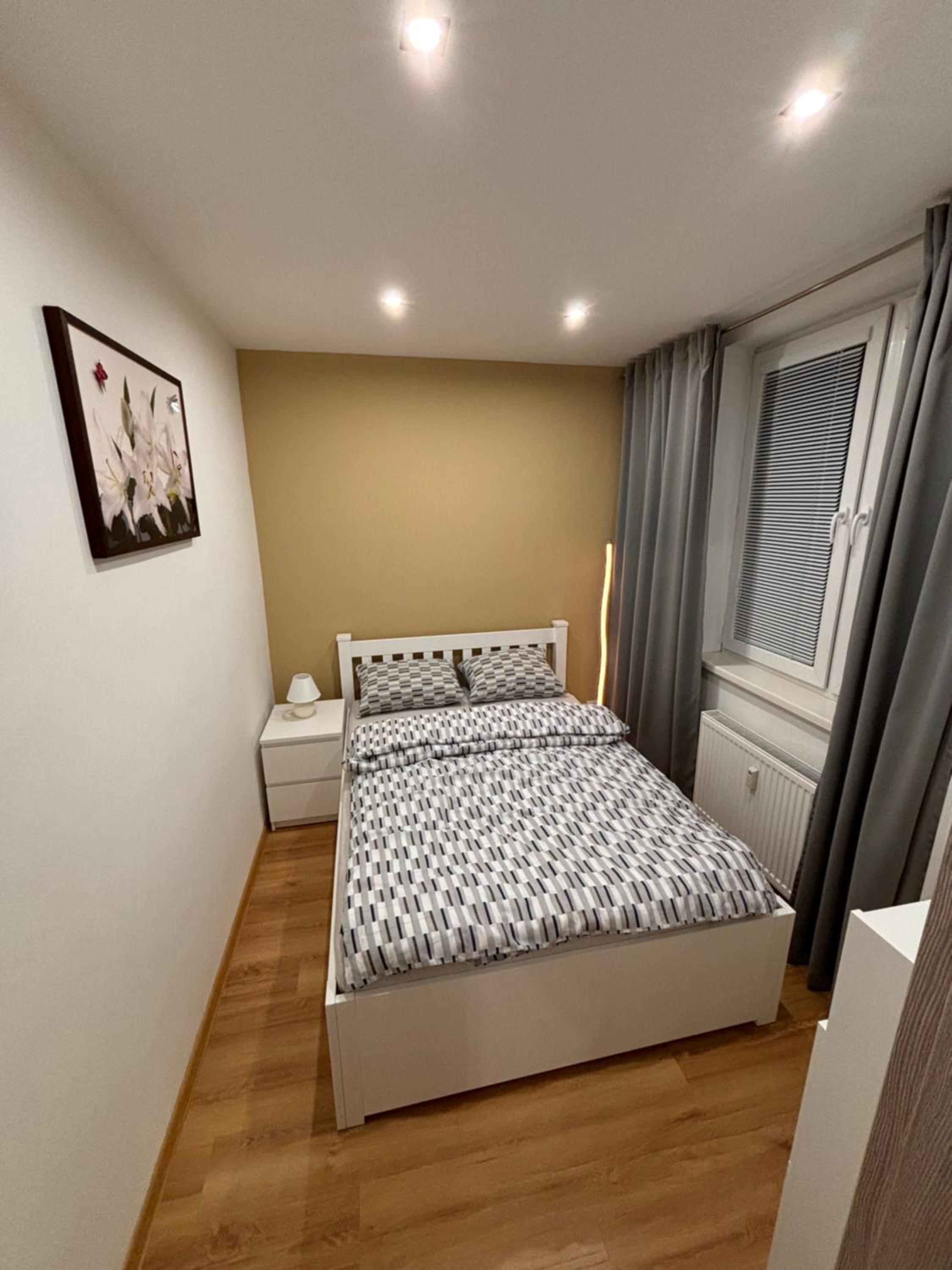 One-Bedroom Apartment photo 2