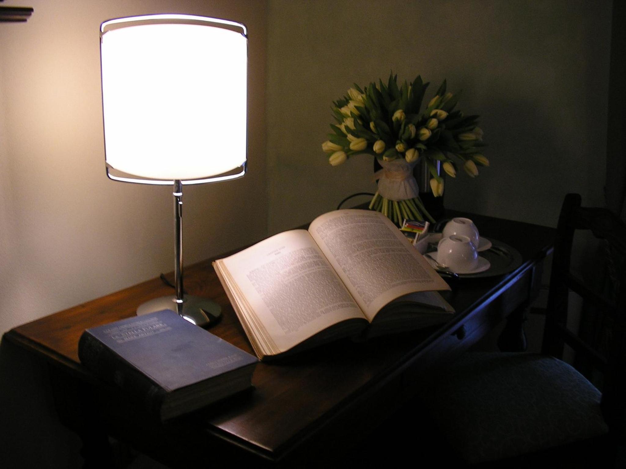 Single Room photo 3